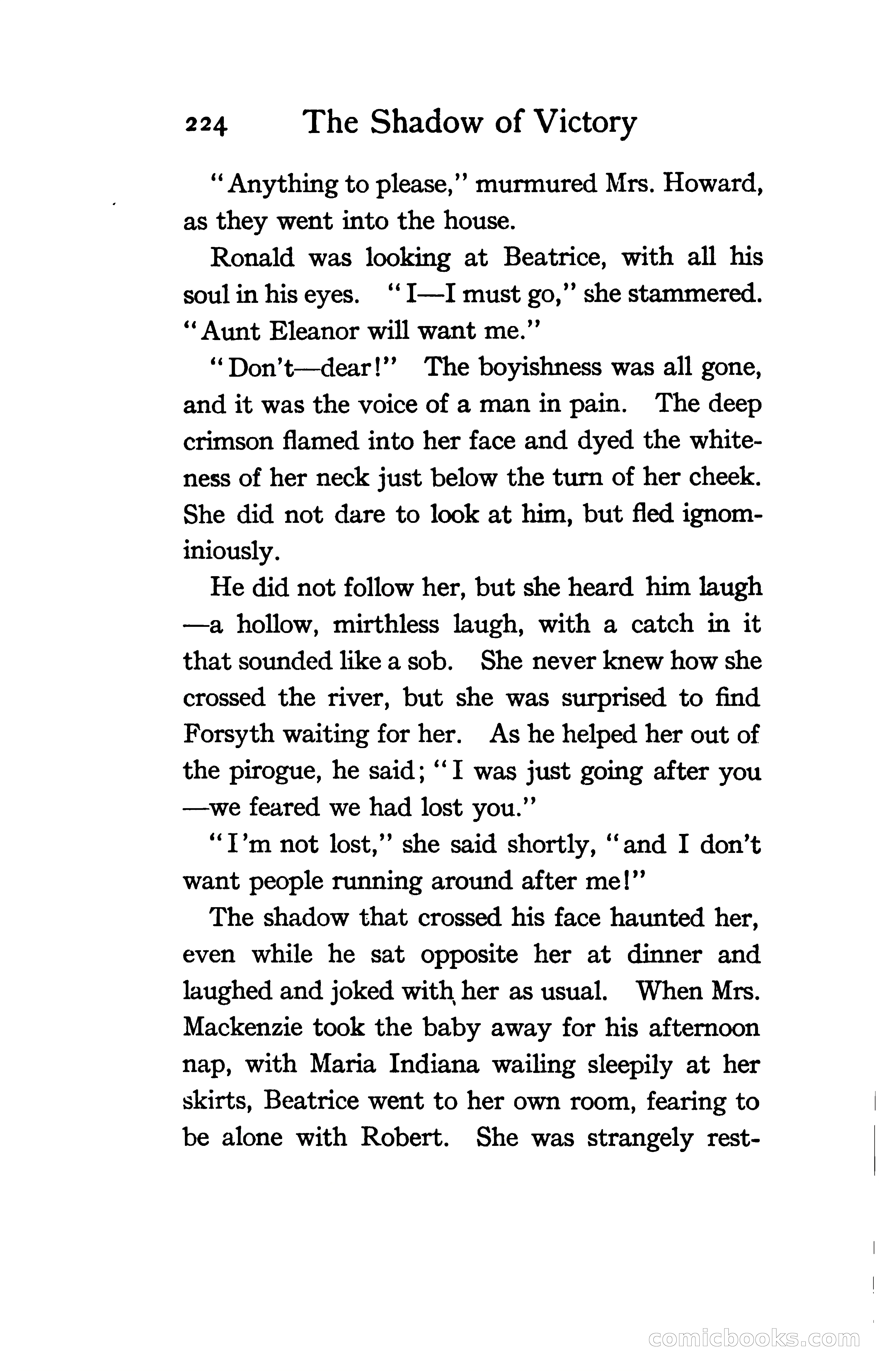 The Shadow of Victory: A Romance of Fort Dearborn — page 243 of 399