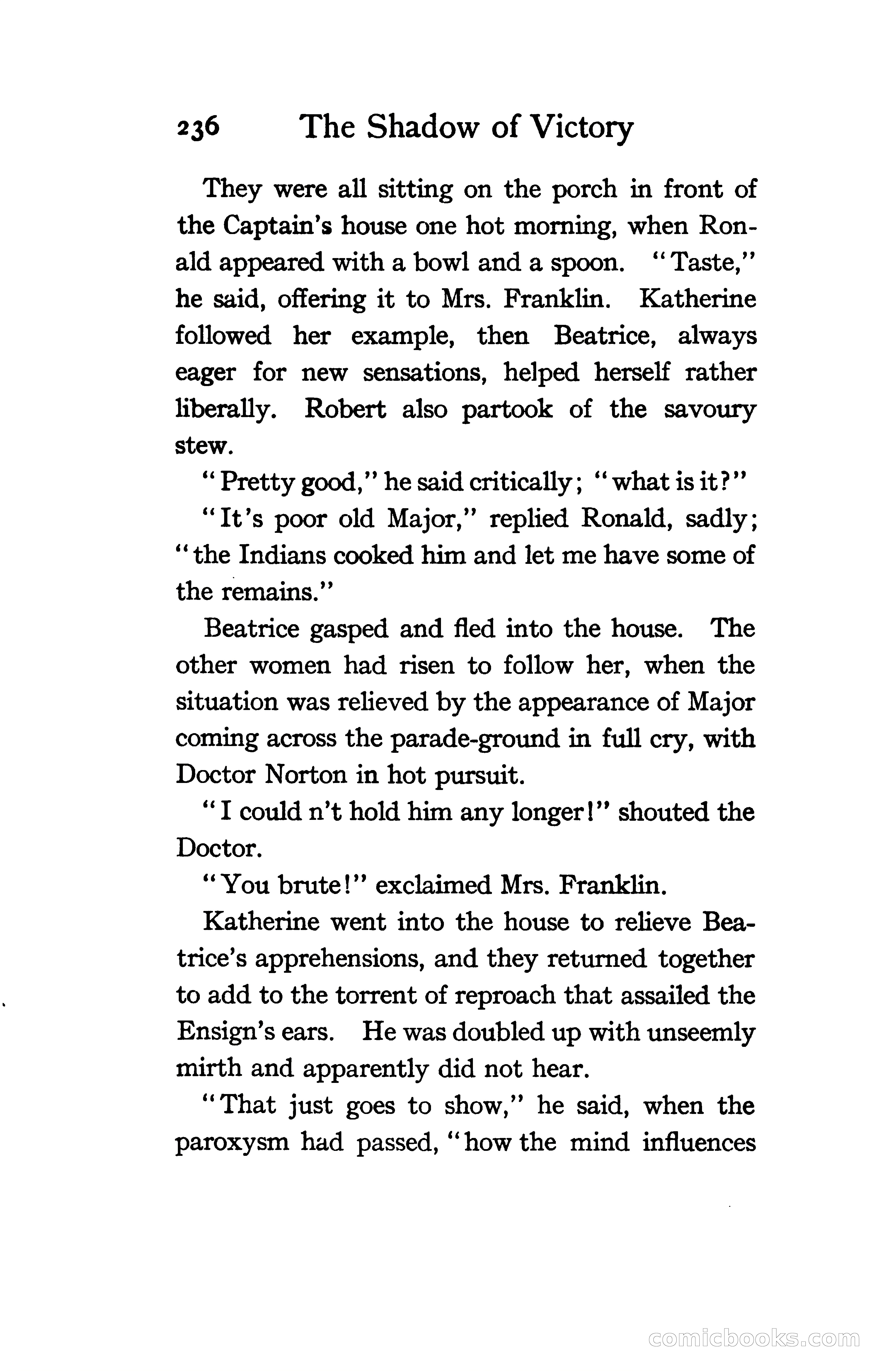 The Shadow of Victory: A Romance of Fort Dearborn — page 255 of 399