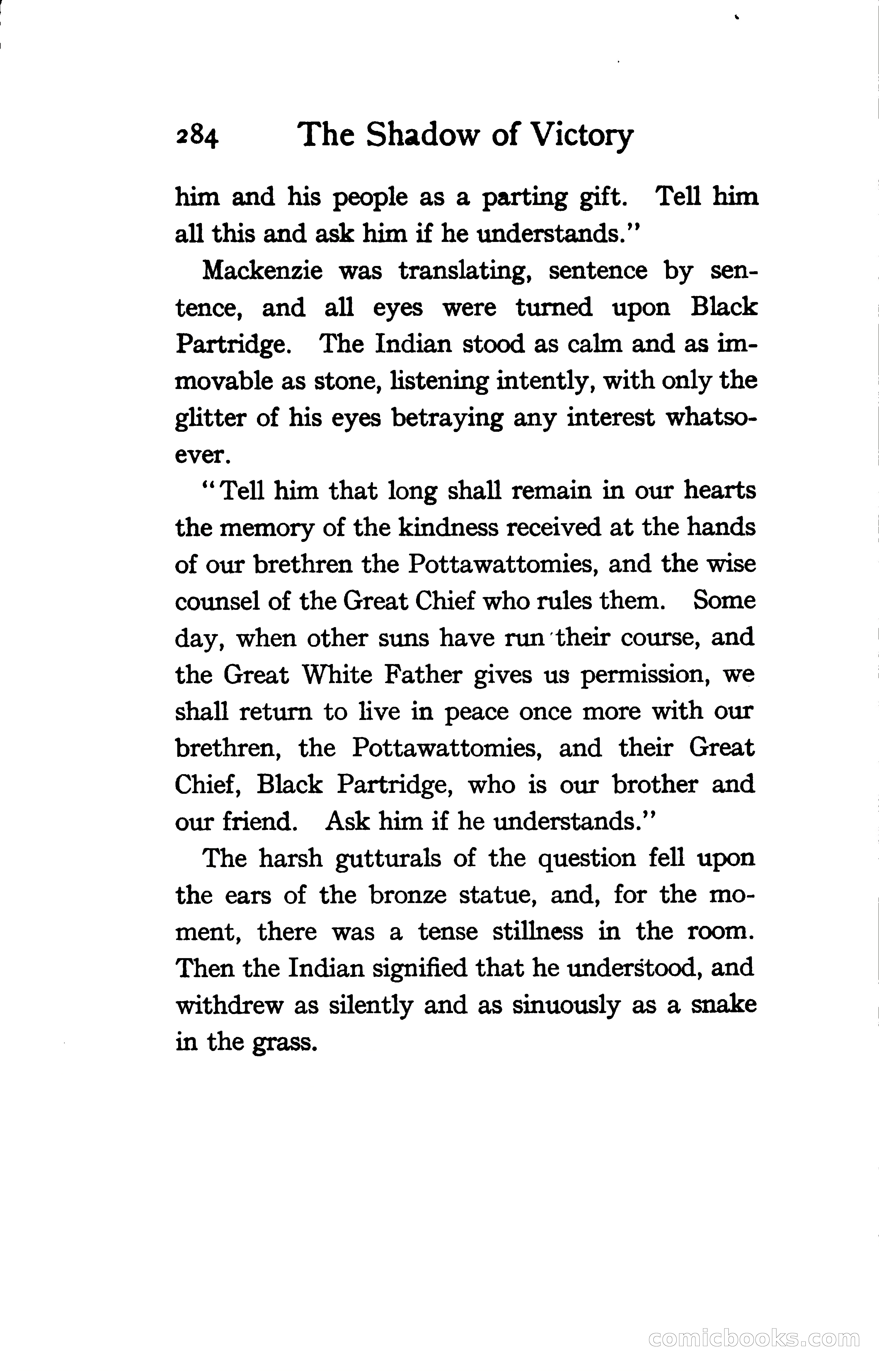 The Shadow of Victory: A Romance of Fort Dearborn — page 303 of 399