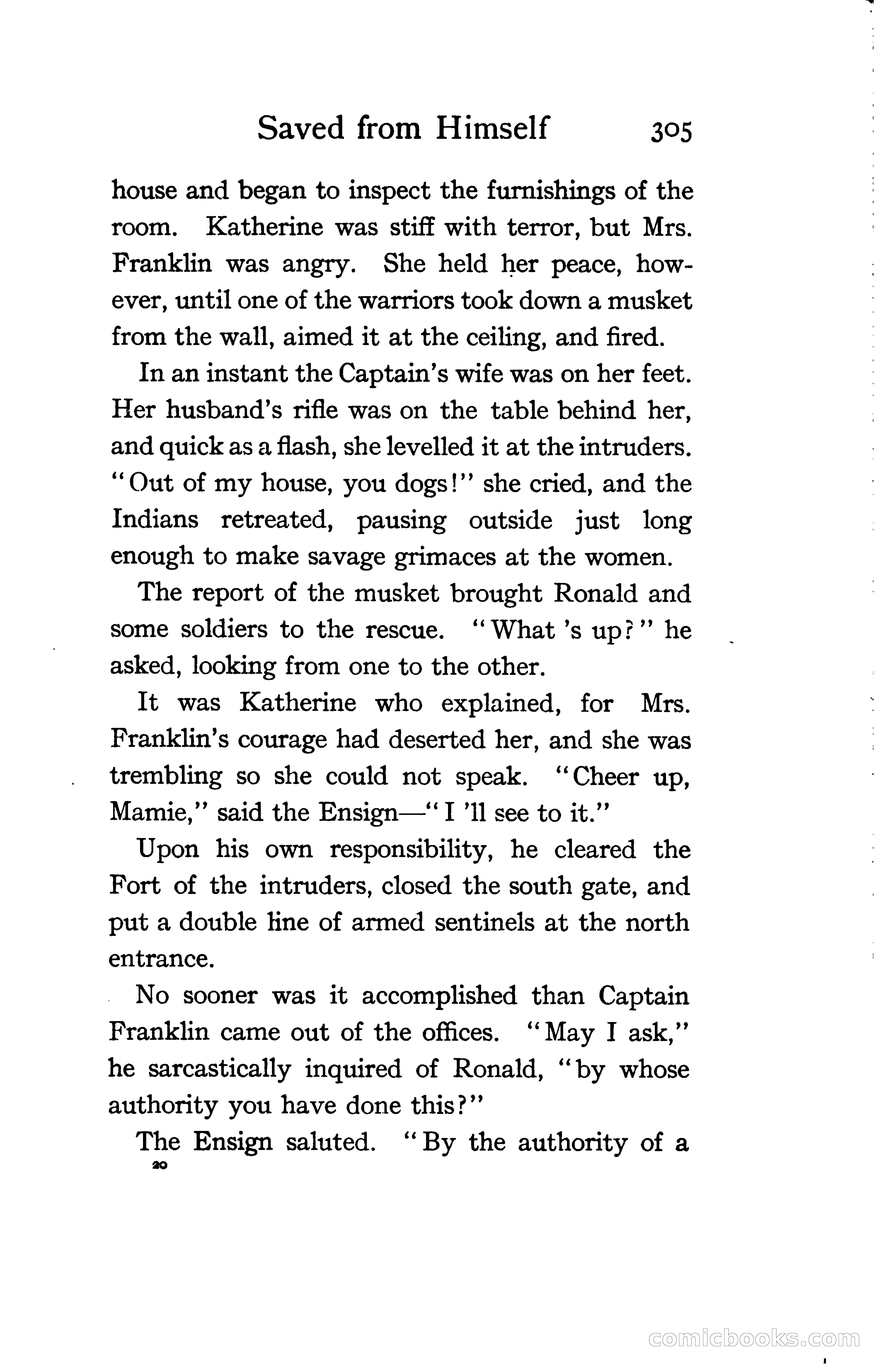 The Shadow of Victory: A Romance of Fort Dearborn — page 324 of 399