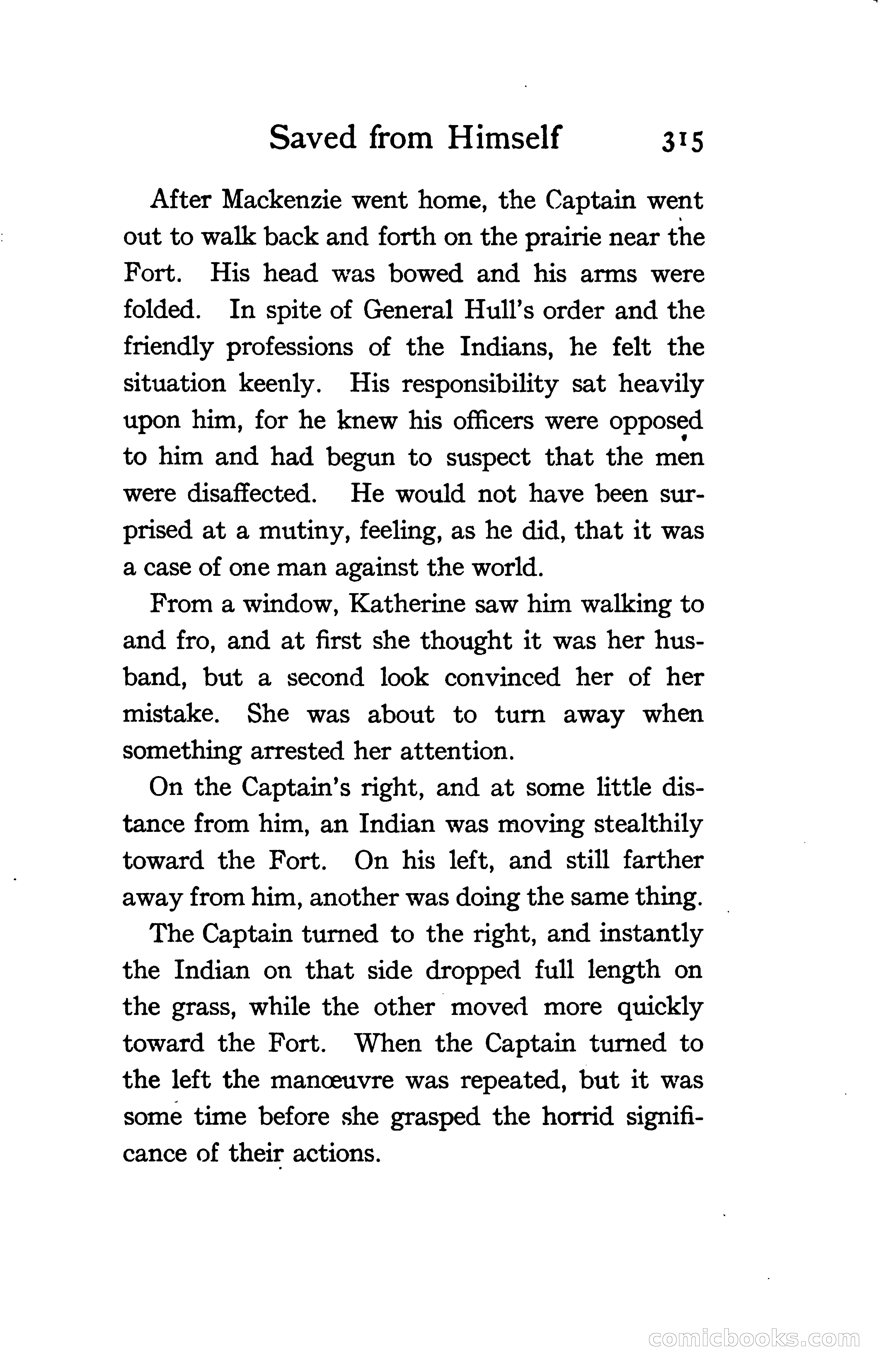 The Shadow of Victory: A Romance of Fort Dearborn — page 334 of 399