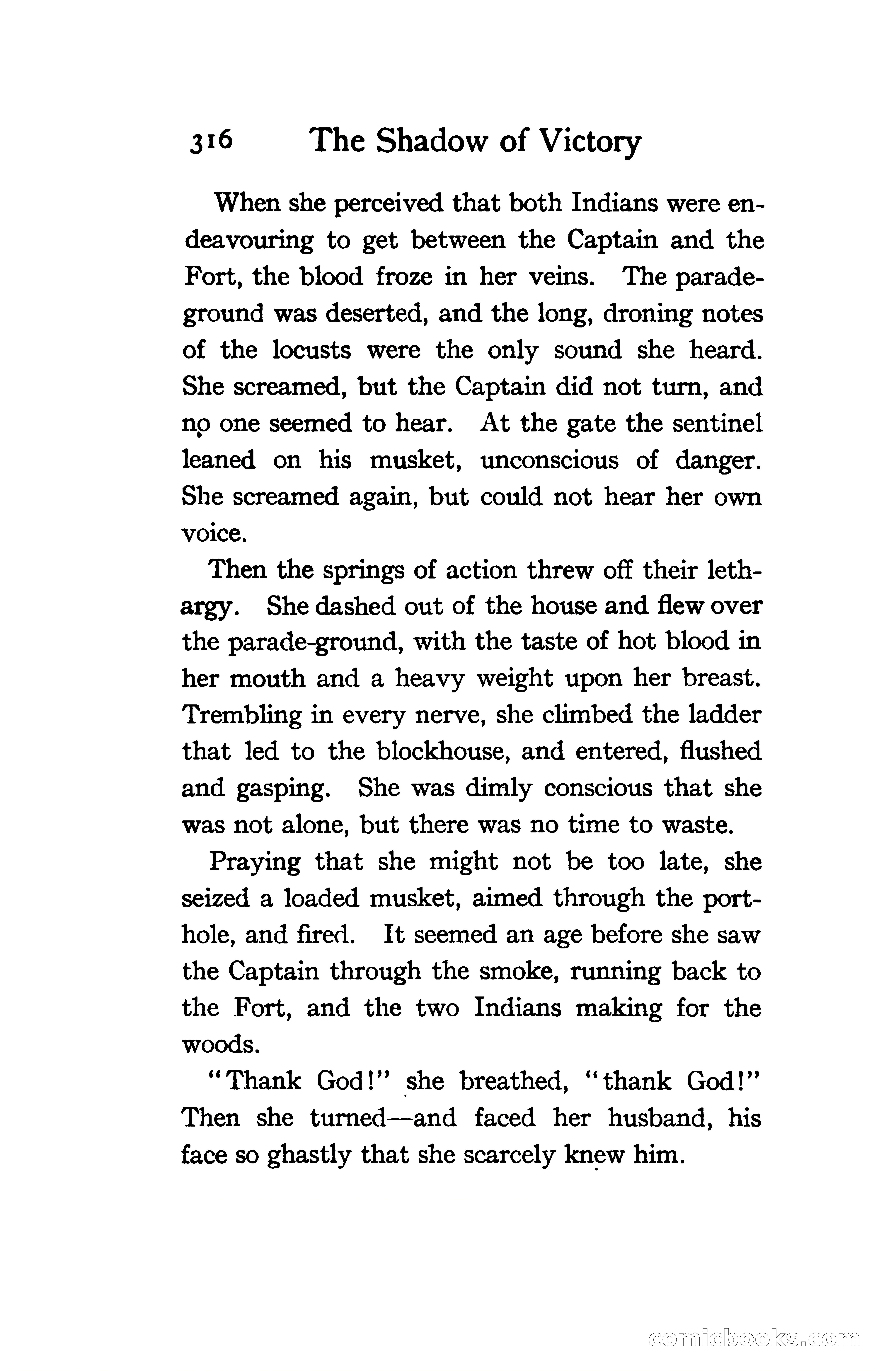 The Shadow of Victory: A Romance of Fort Dearborn — page 335 of 399