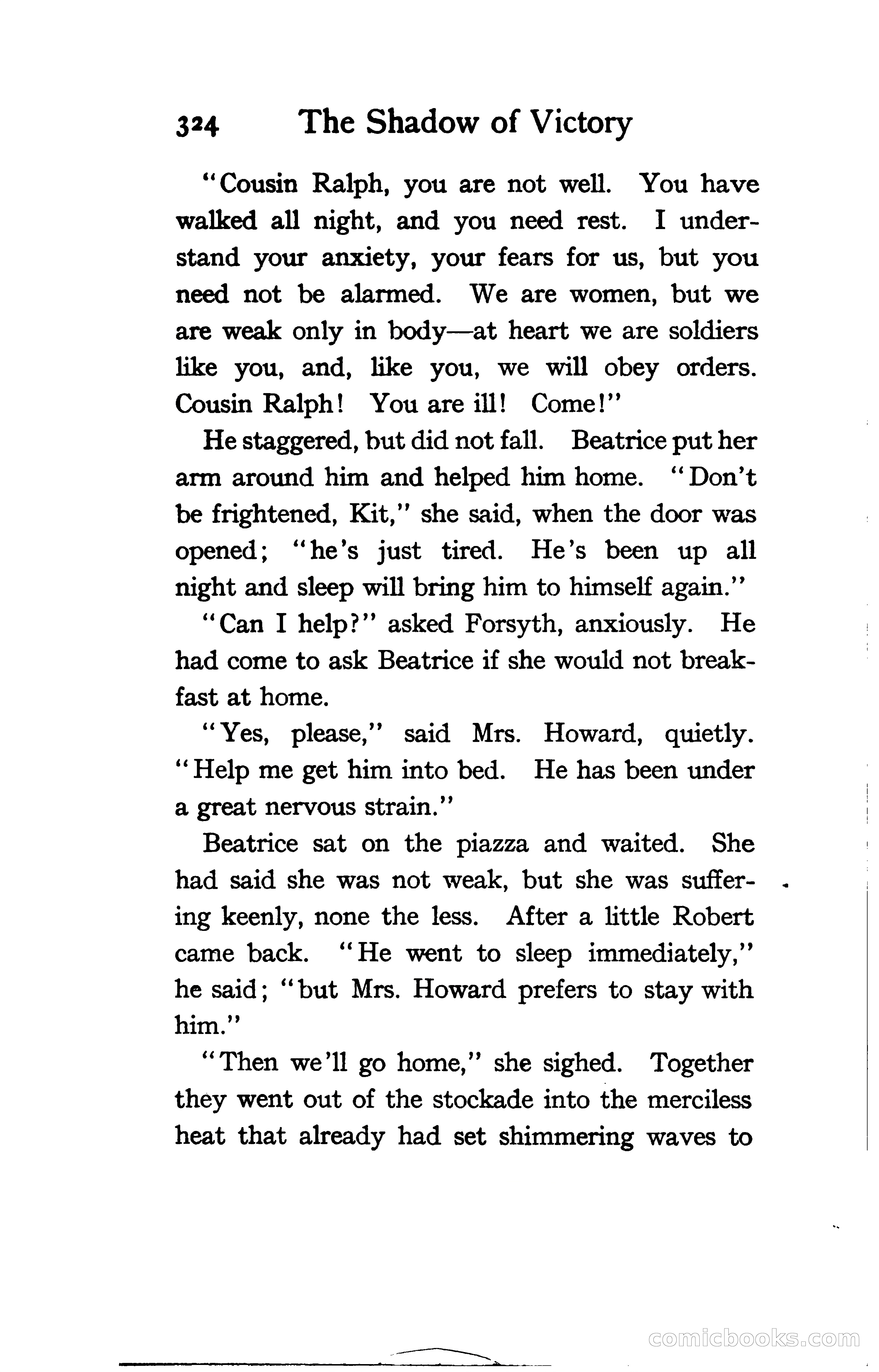 The Shadow of Victory: A Romance of Fort Dearborn — page 343 of 399