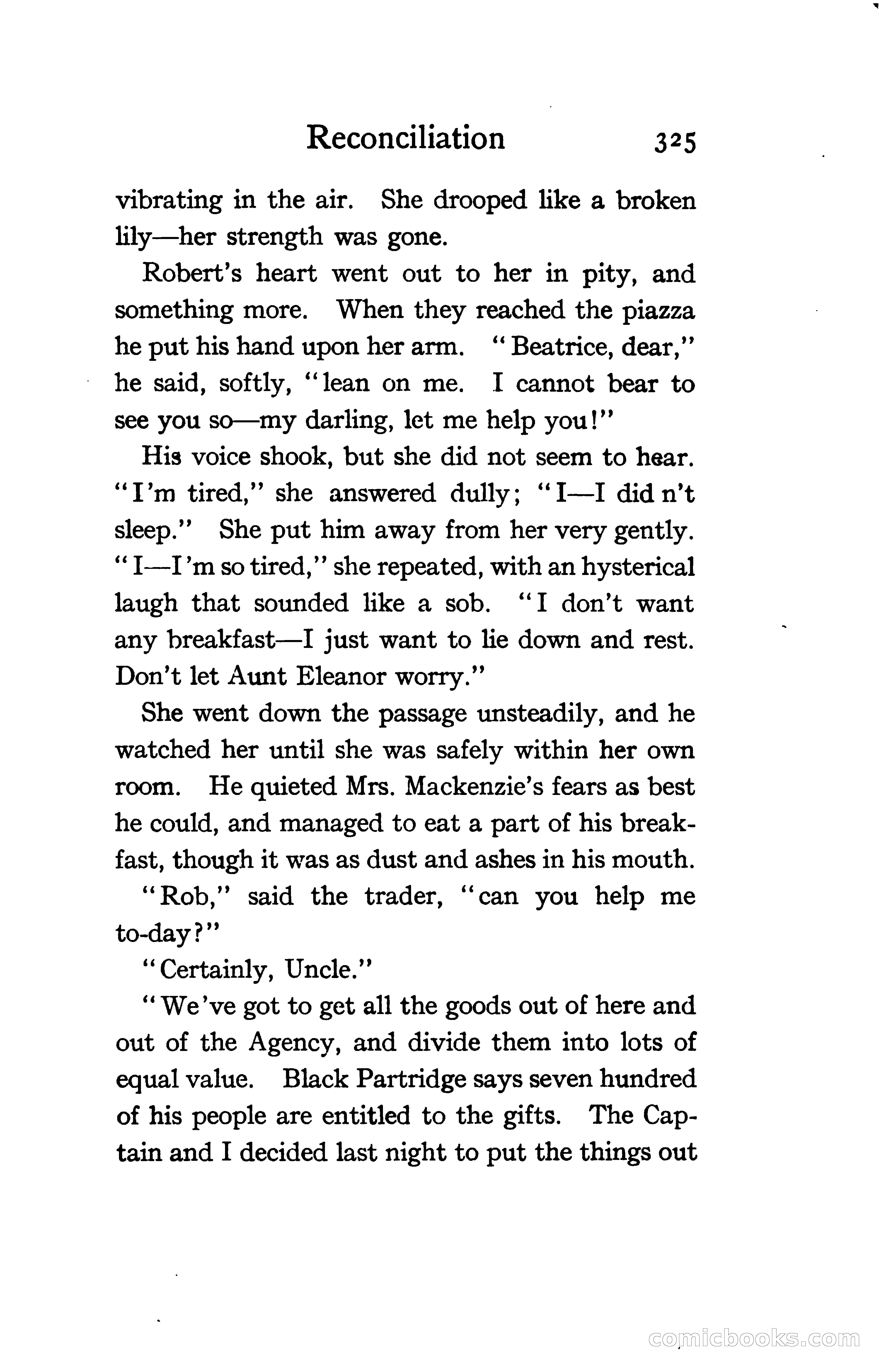 The Shadow of Victory: A Romance of Fort Dearborn — page 344 of 399