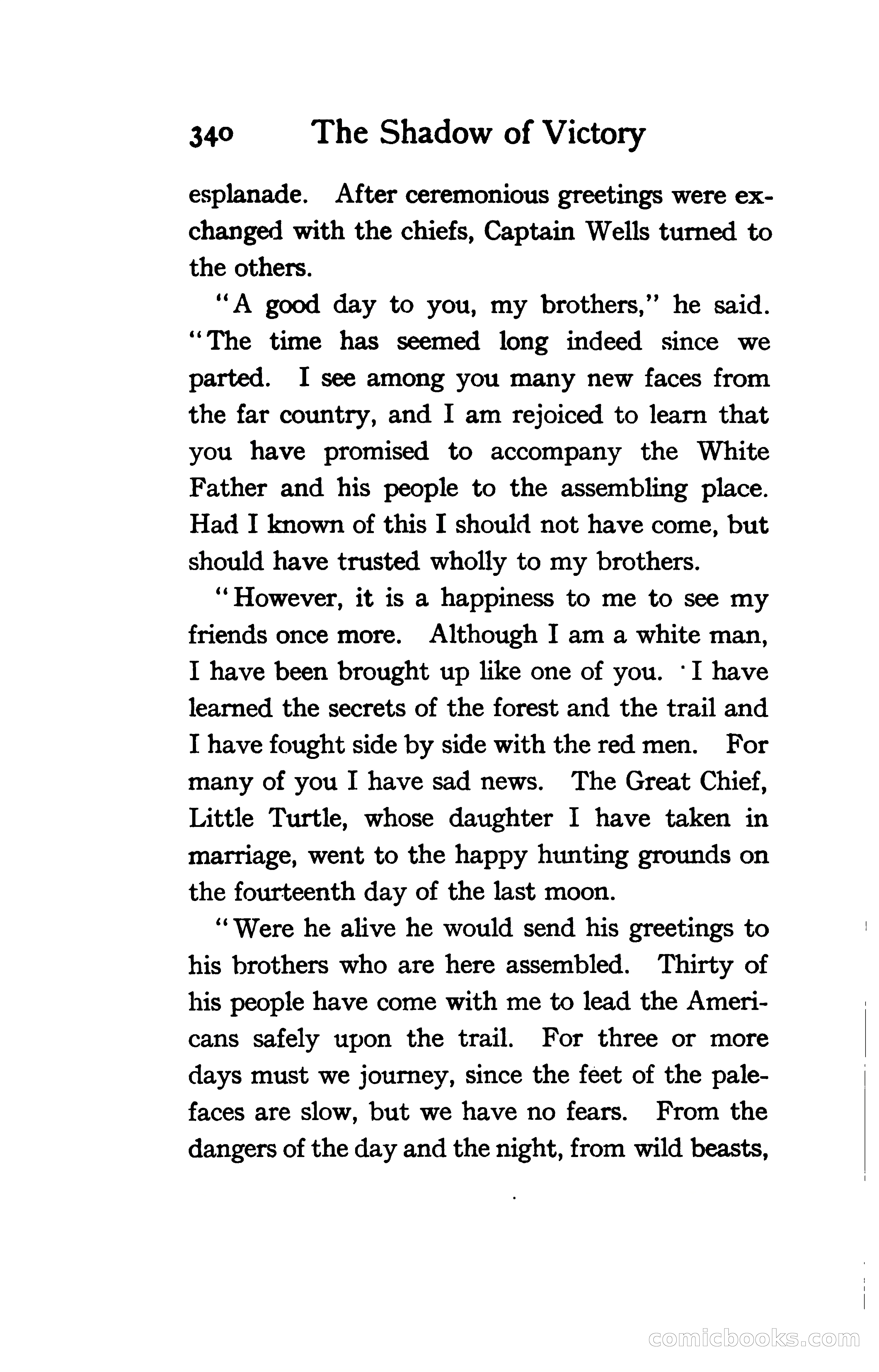 The Shadow of Victory: A Romance of Fort Dearborn — page 359 of 399