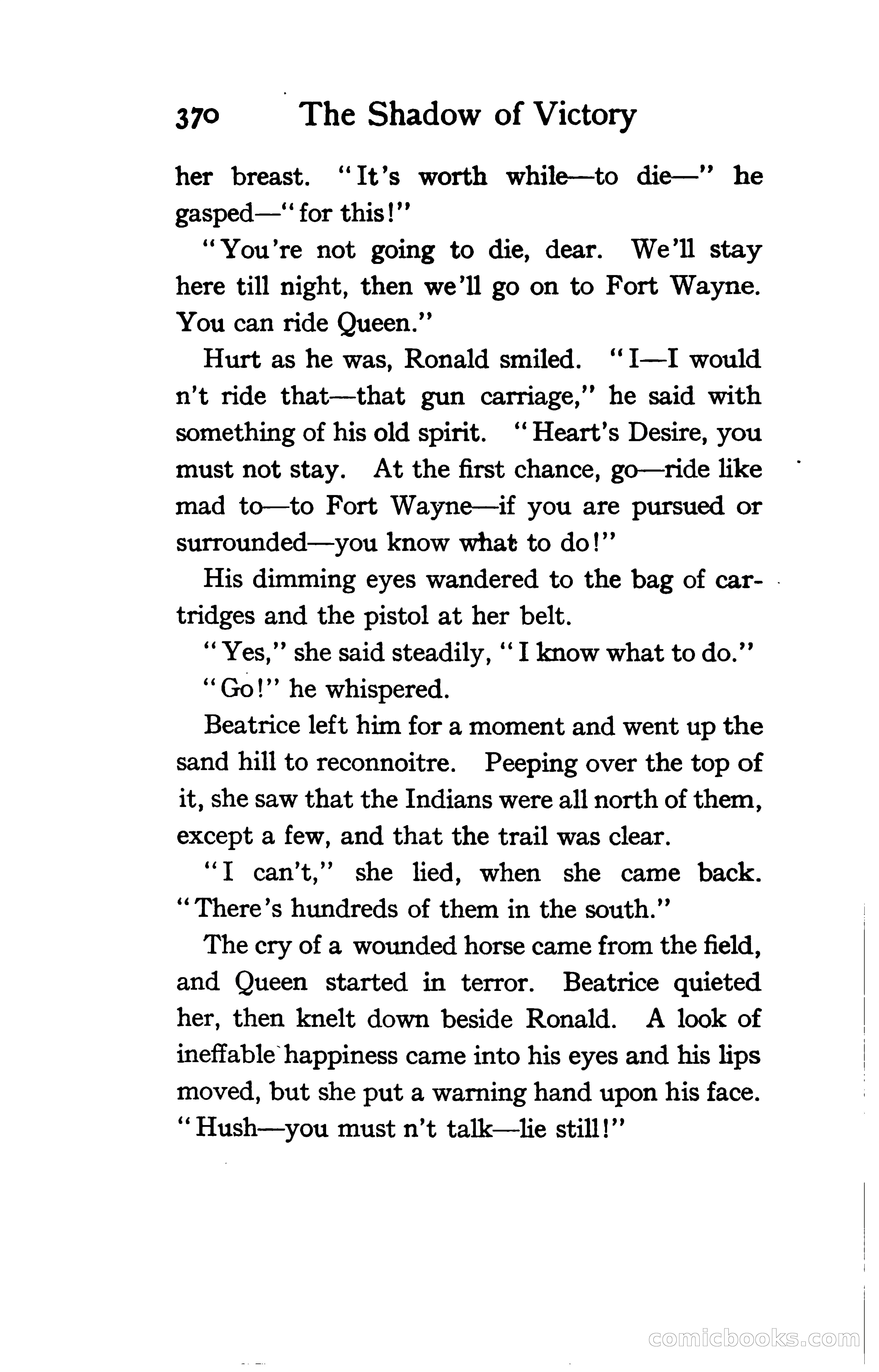 The Shadow of Victory: A Romance of Fort Dearborn — page 389 of 399