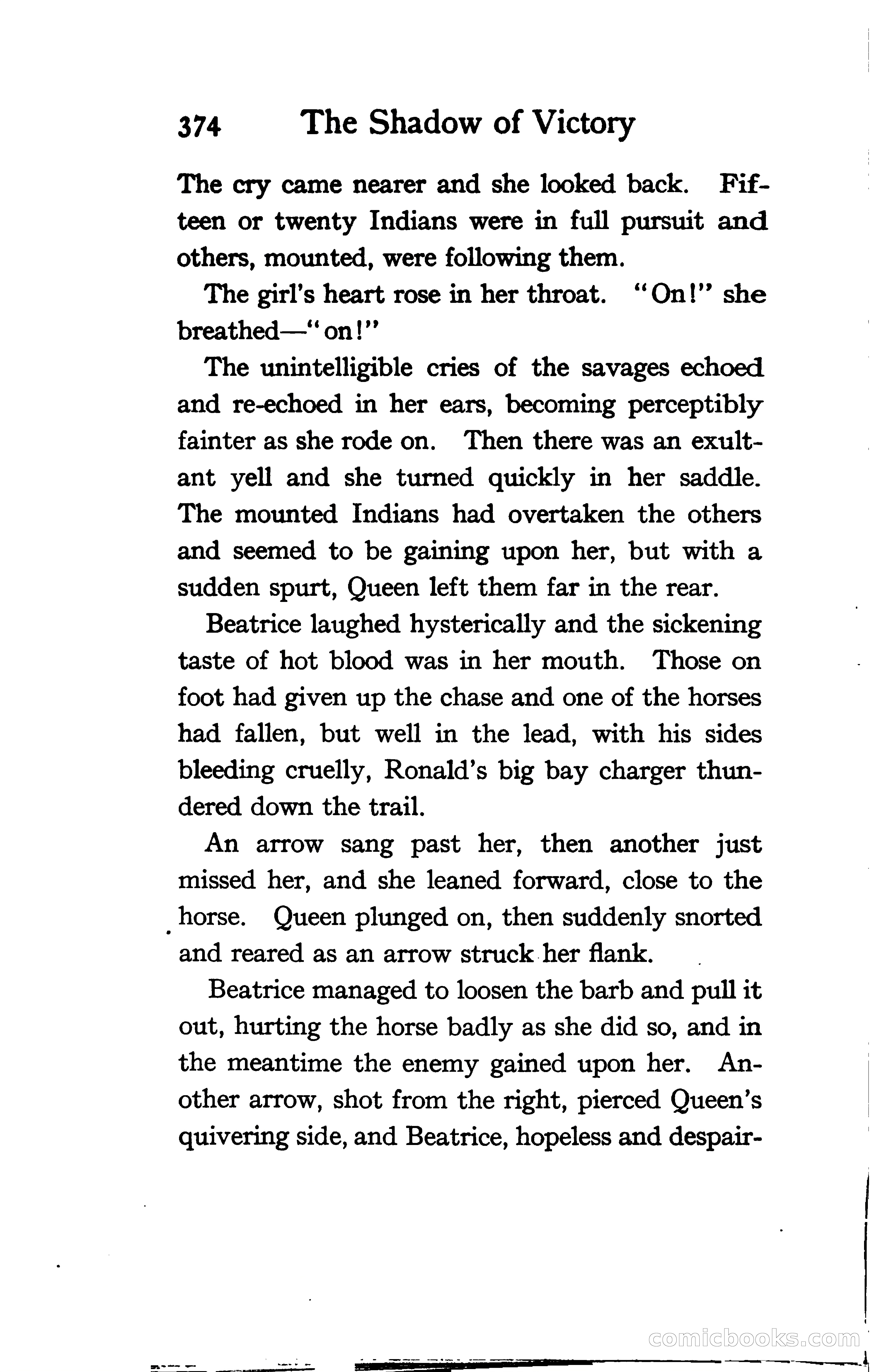 The Shadow of Victory: A Romance of Fort Dearborn — page 393 of 399