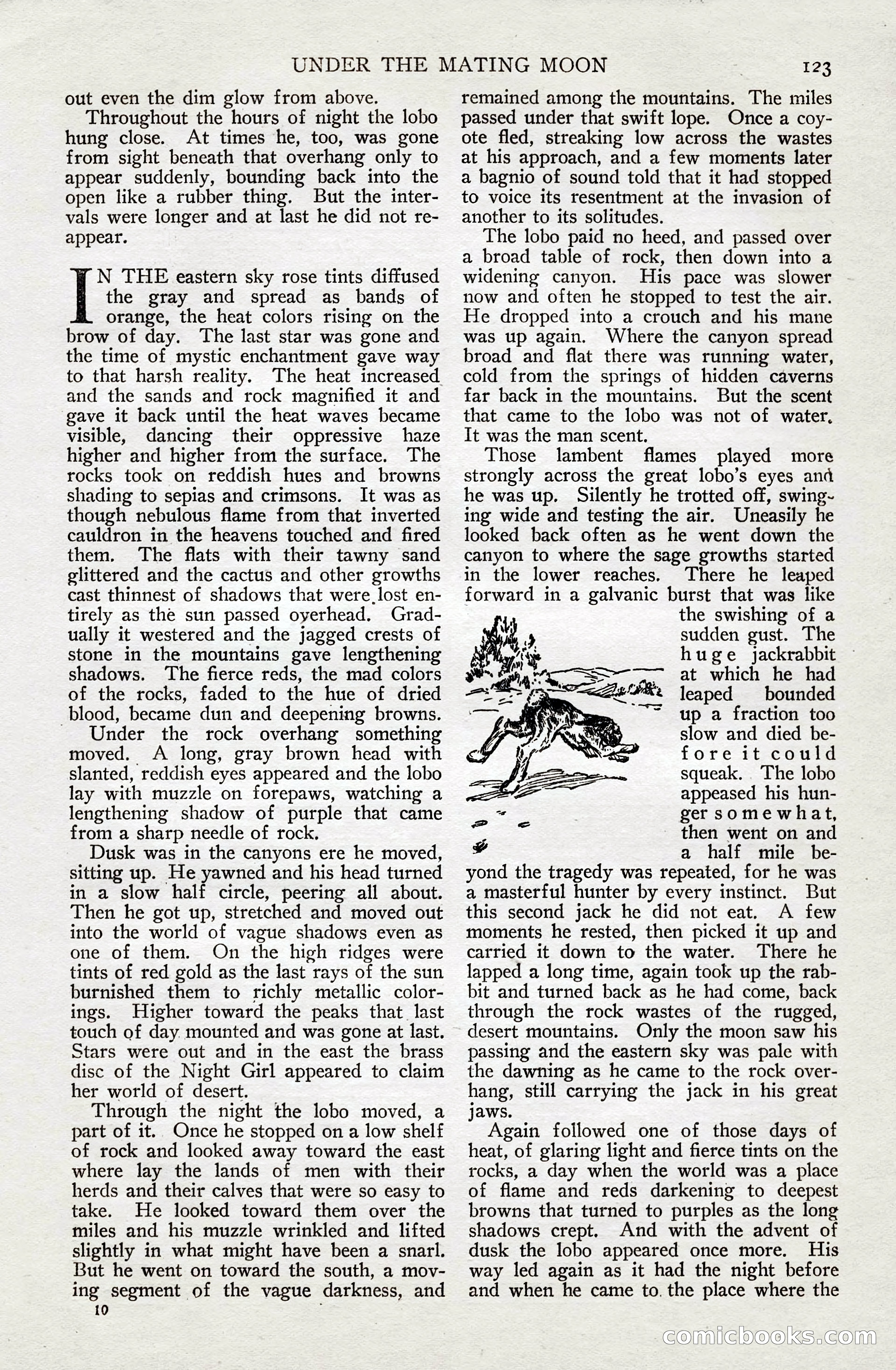 Short Stories, June 10, 1925 — page 129 of 192