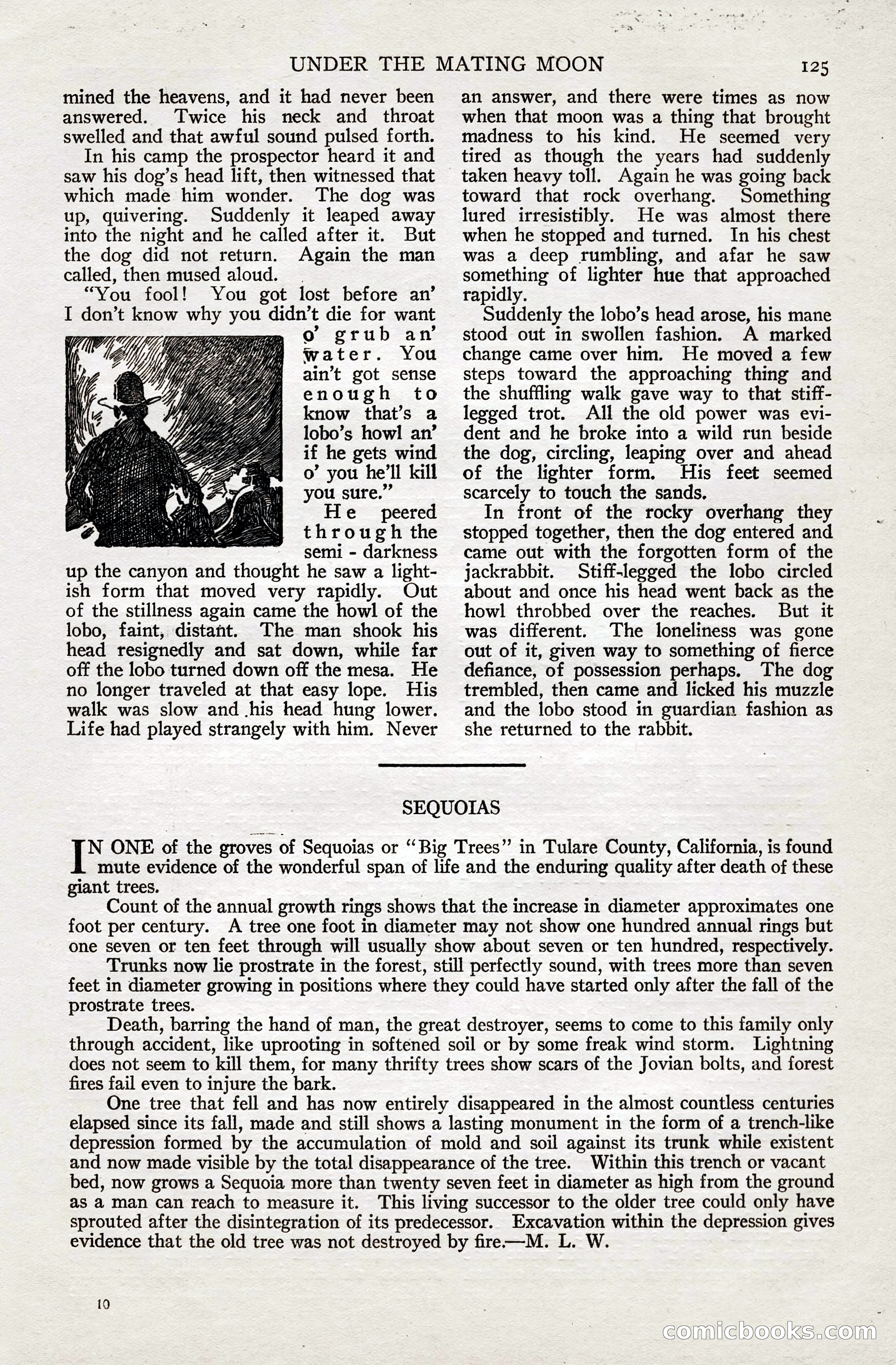 Short Stories, June 10, 1925 — page 131 of 192