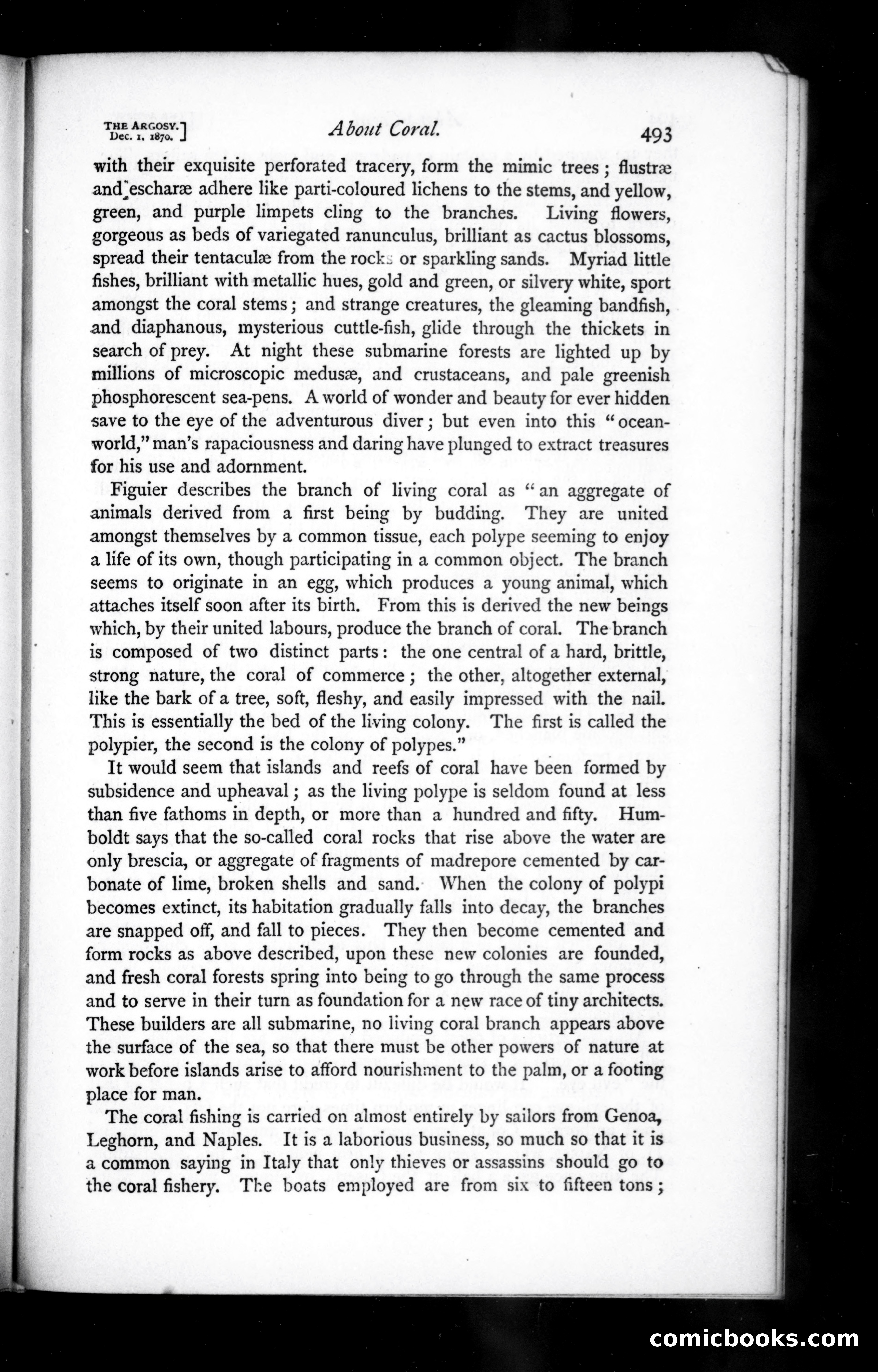 The Argosy, Vol. 10 — page 95 of 119