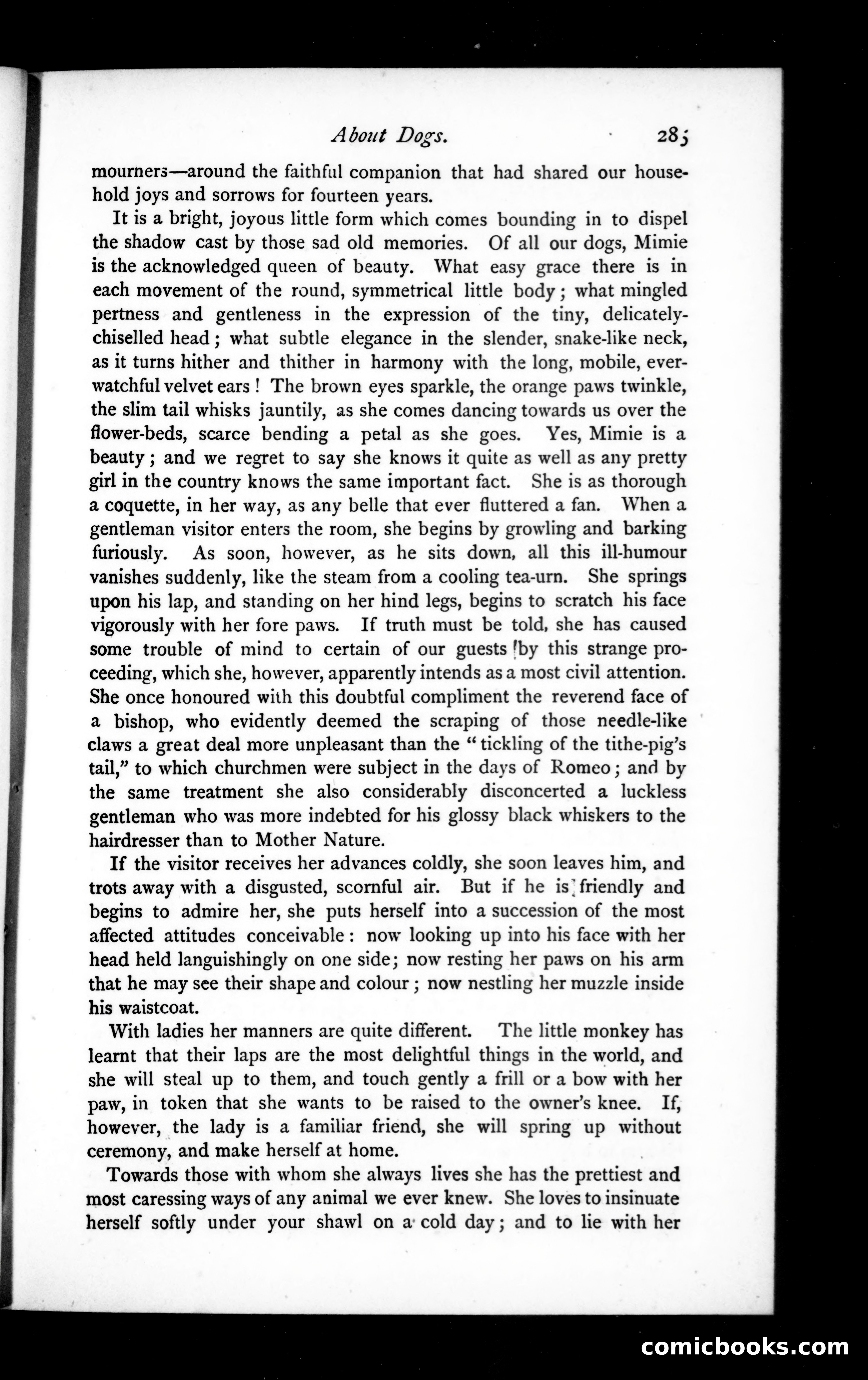 The Argosy, Vol. XIX — page 45 of 82