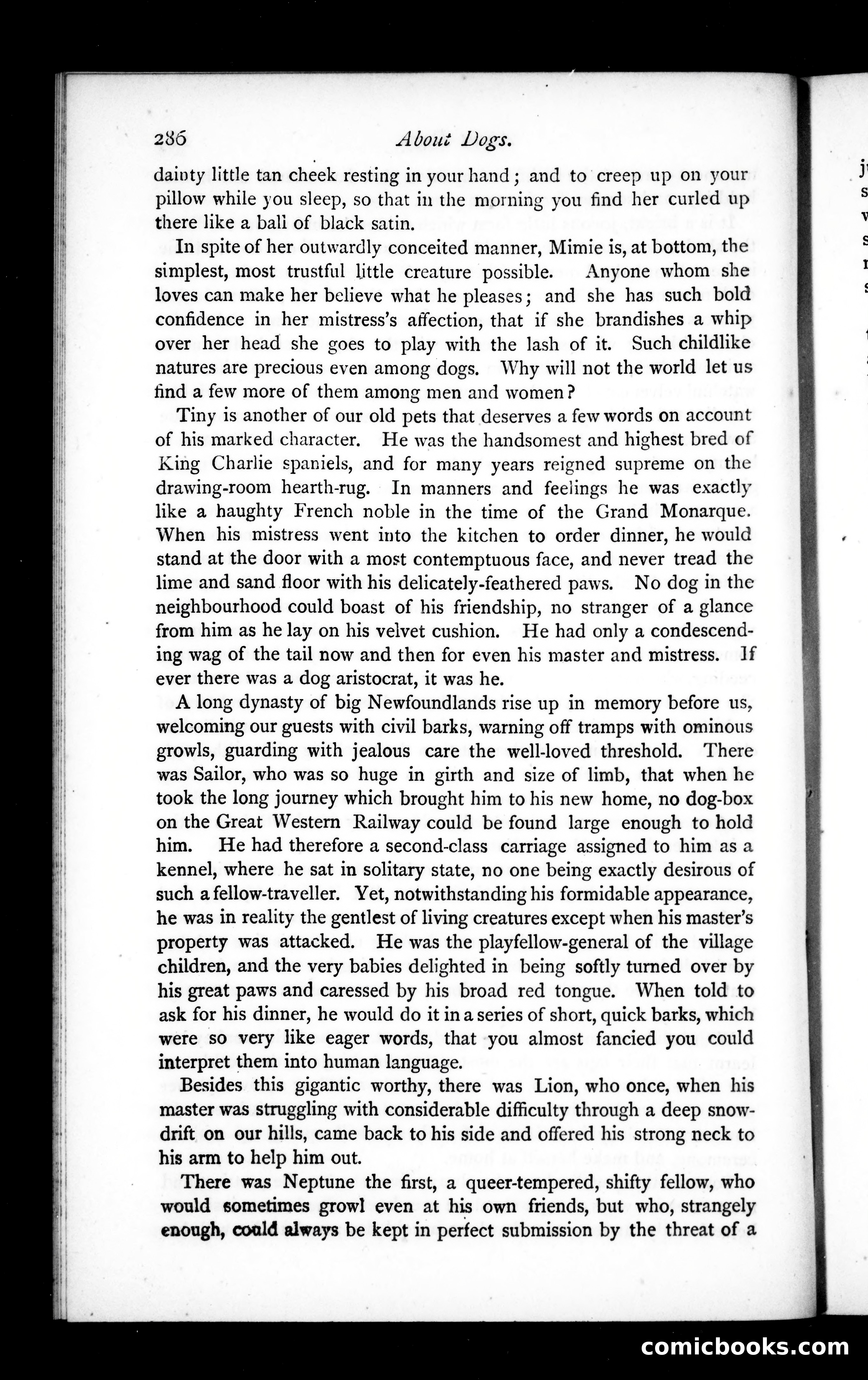 The Argosy, Vol. XIX — page 46 of 82
