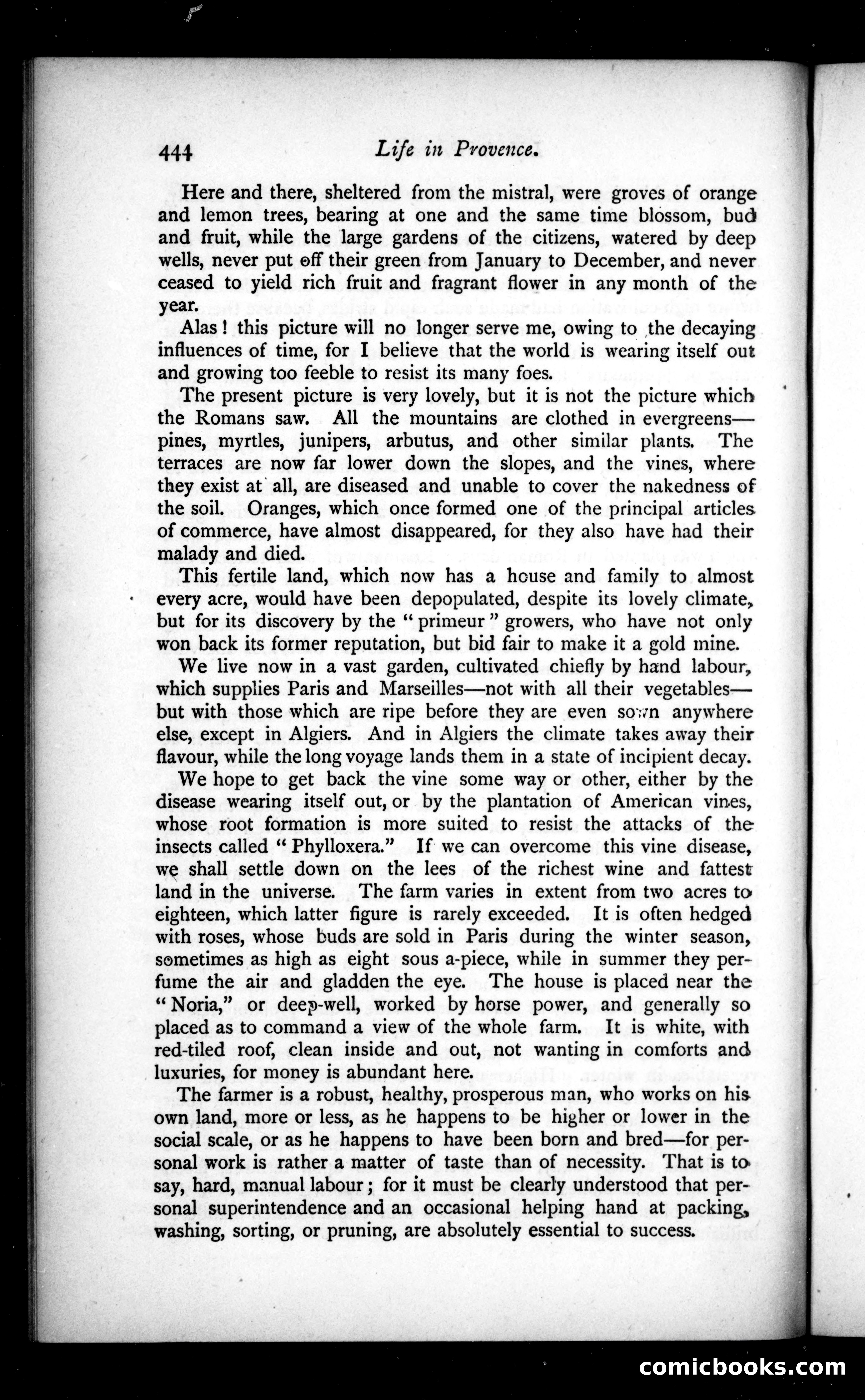 The Argosy, Vol. 32 — page 44 of 123