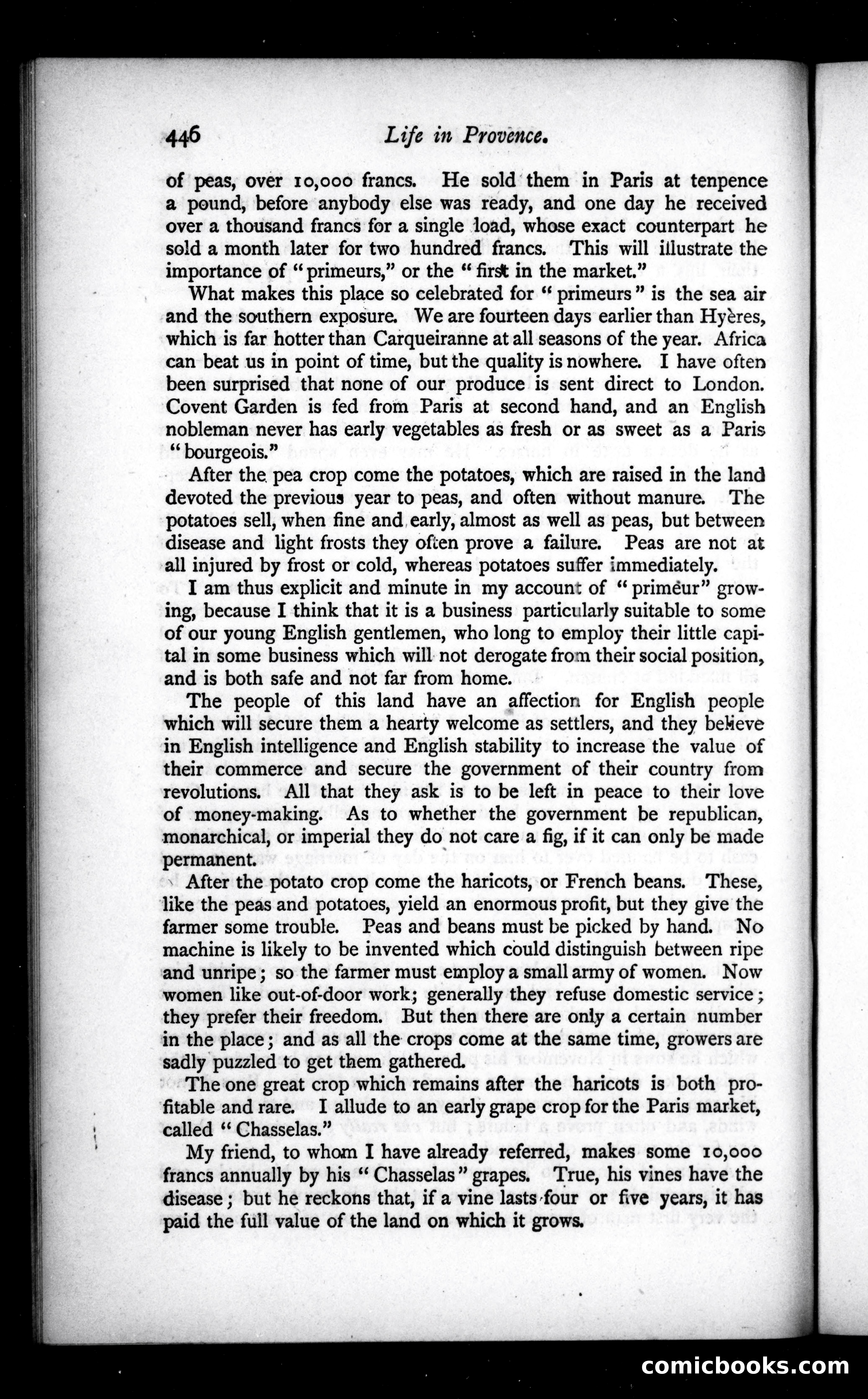 The Argosy, Vol. 32 — page 46 of 123