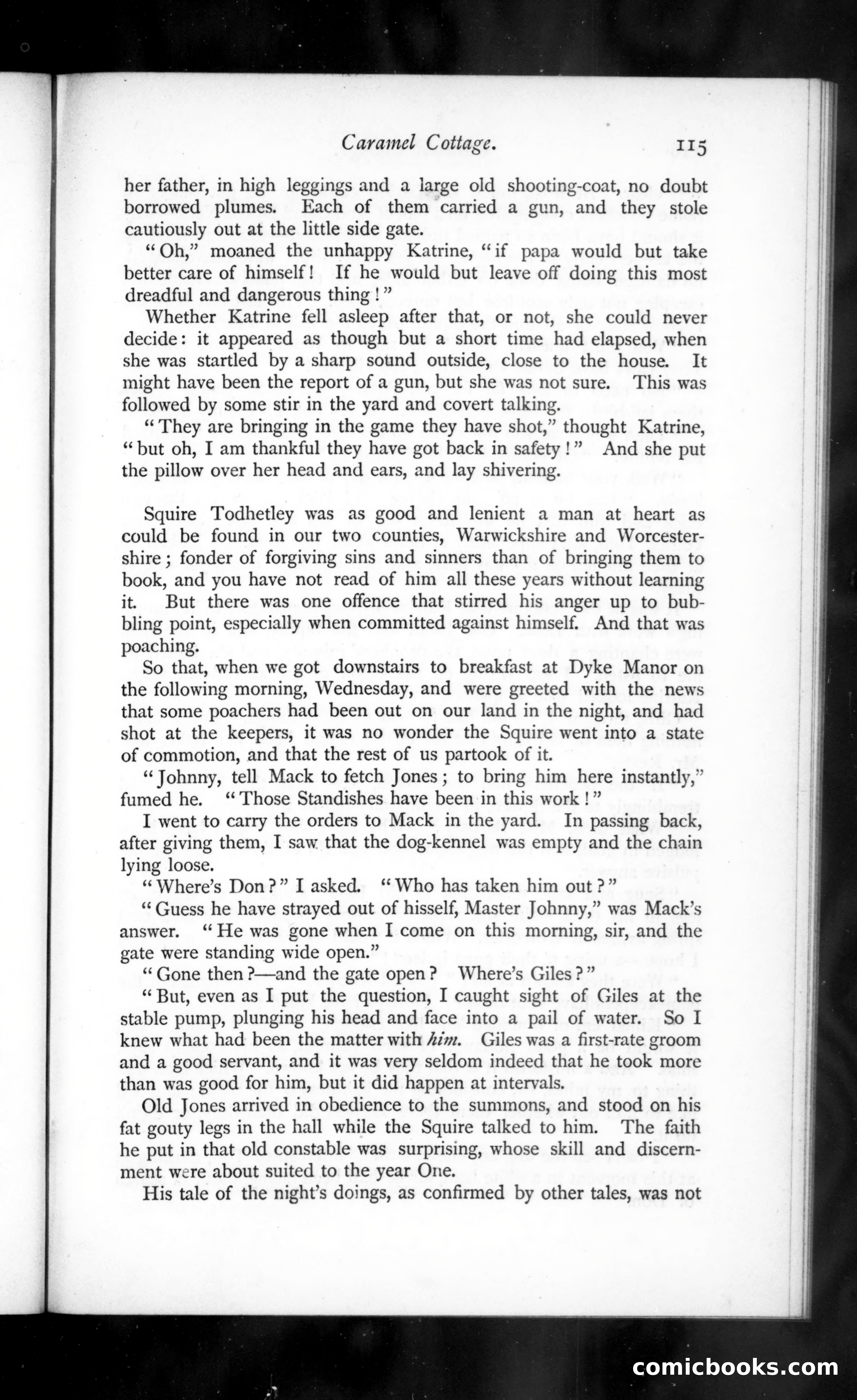 The Argosy, Vol. 39 — page 31 of 82