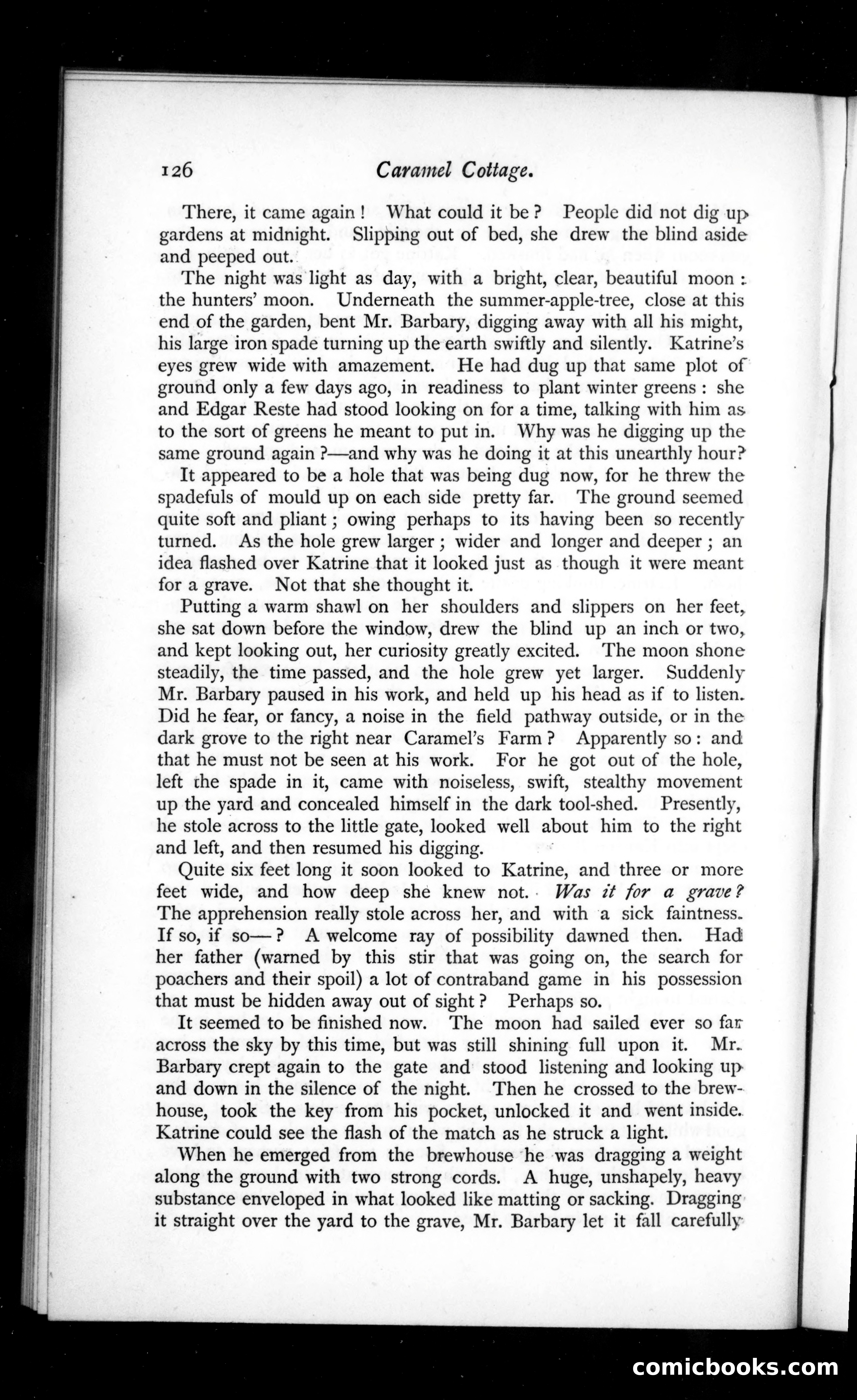 The Argosy, Vol. 39 — page 42 of 82