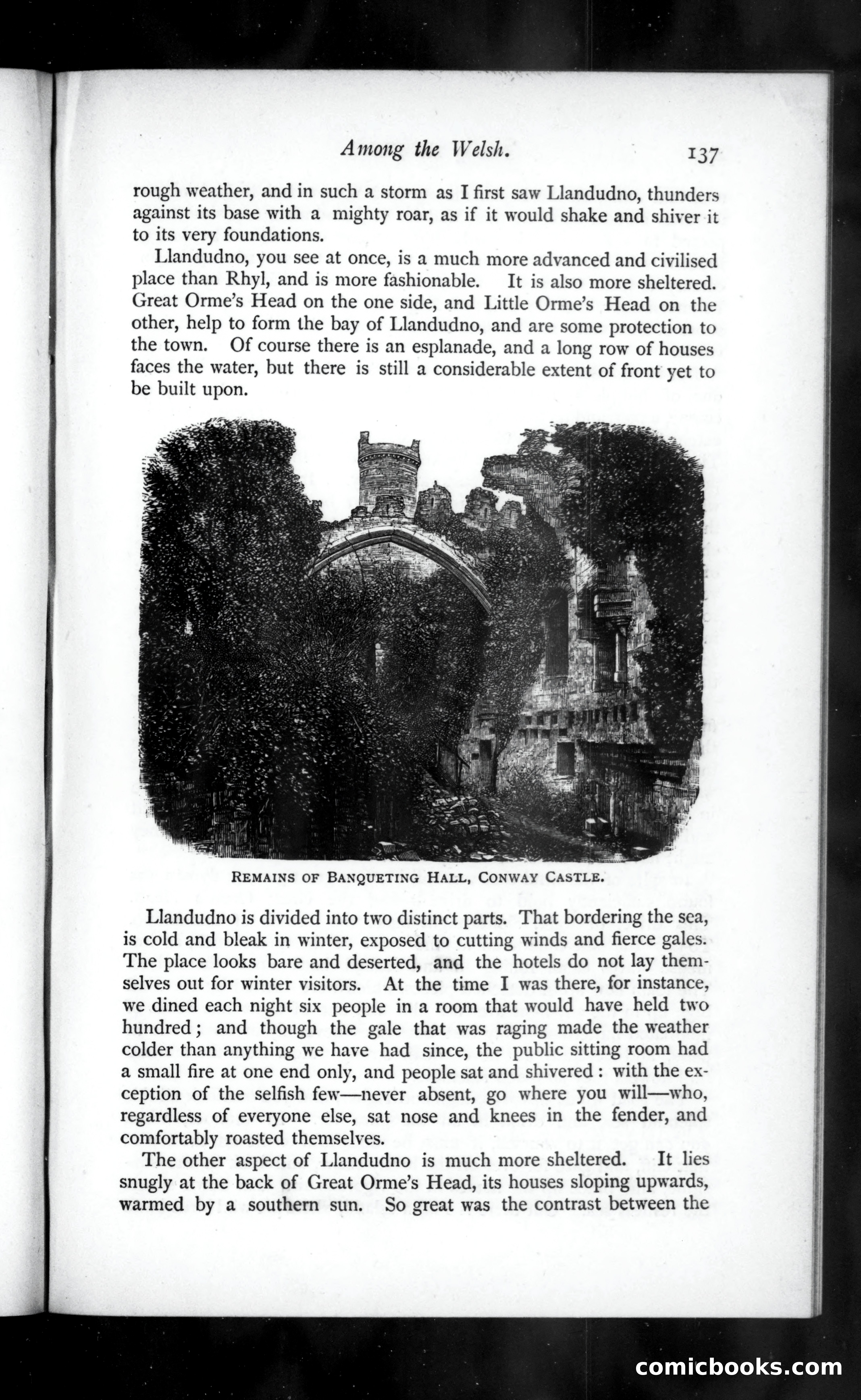 The Argosy, Vol. 39 — page 53 of 82