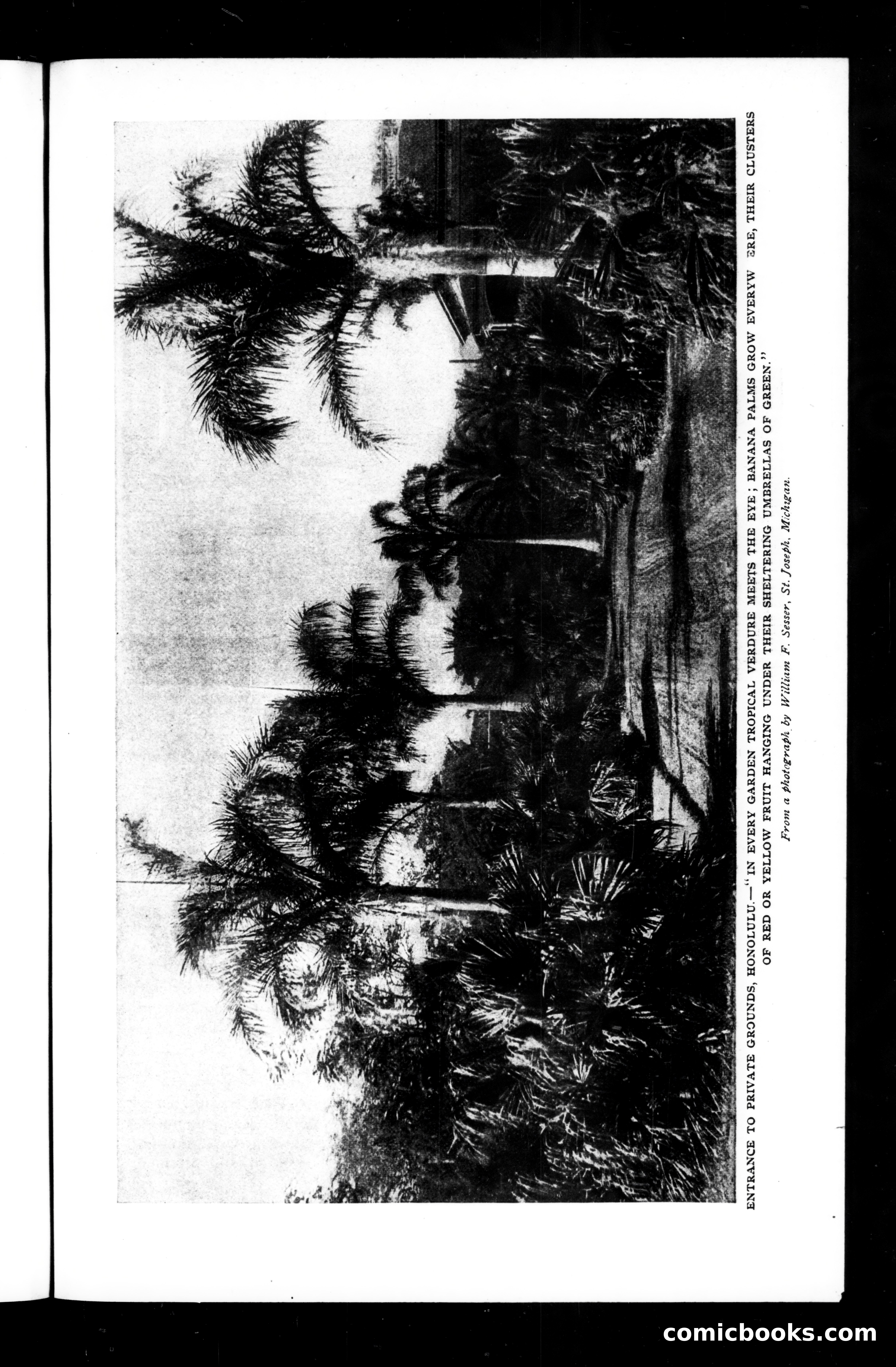 The Munsey (September 1898) — page 51 of 161