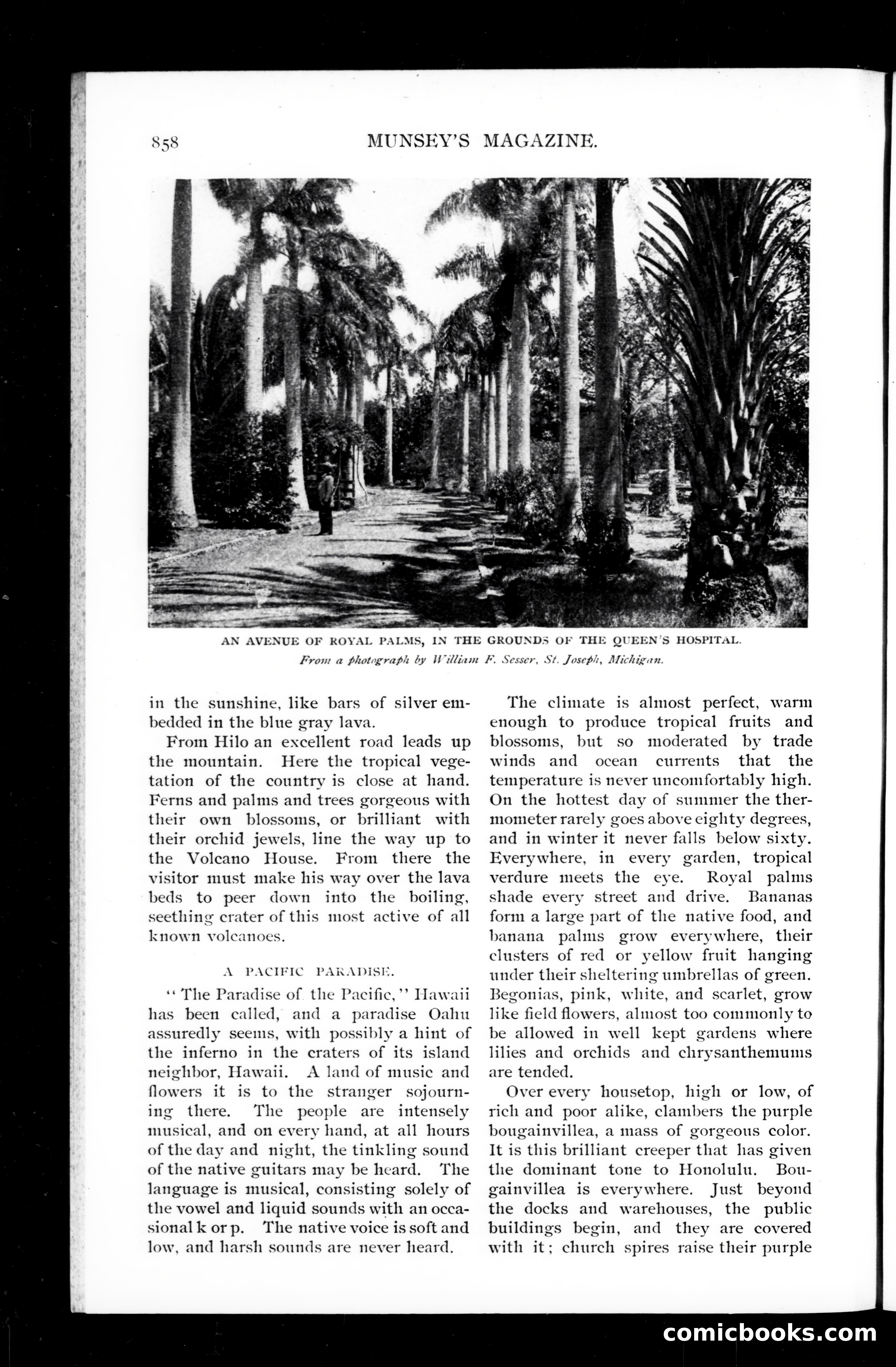 The Munsey (September 1898) — page 60 of 161