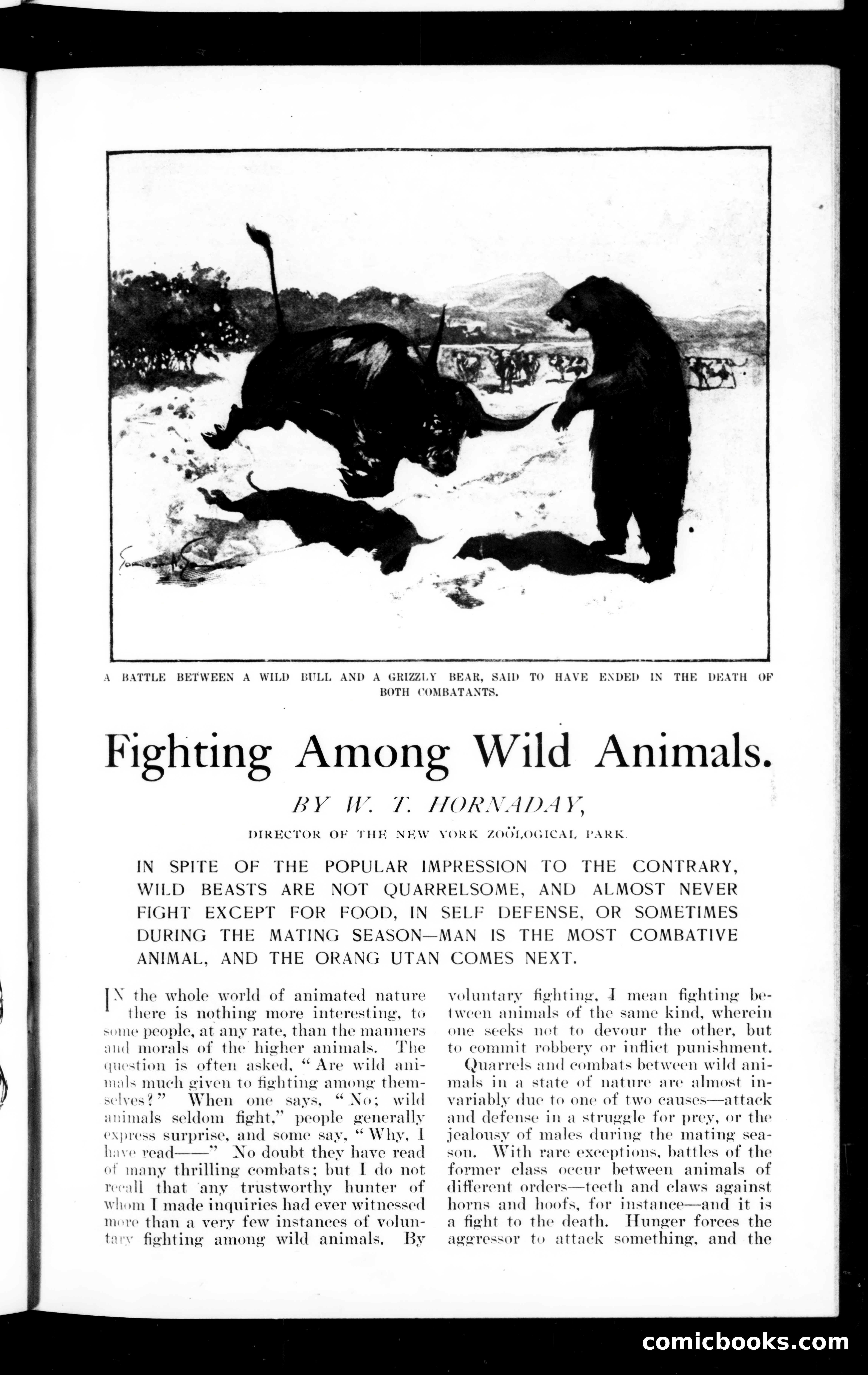 Munsey's Magazine, April 1901 — page 123 of 146