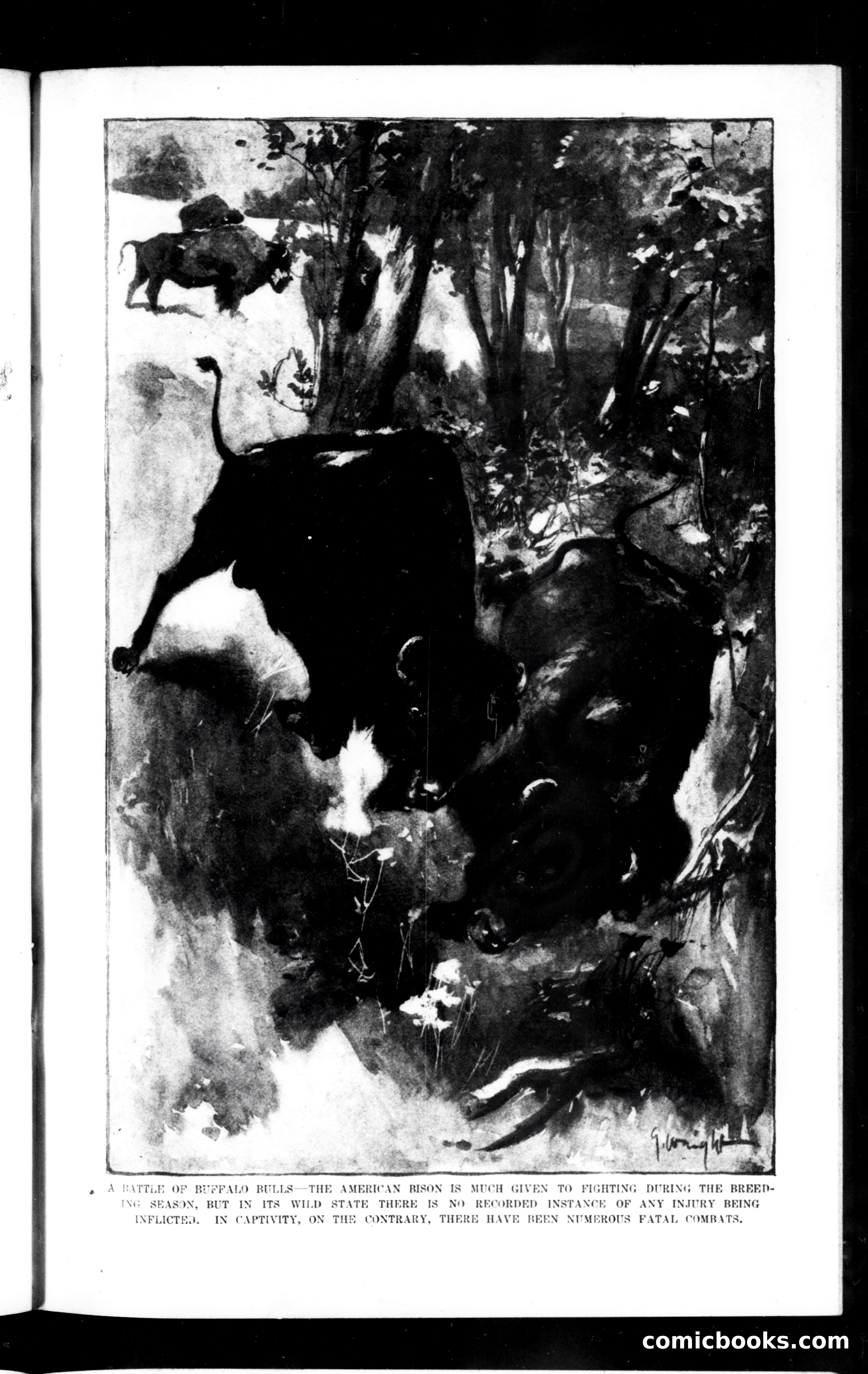 Munsey's Magazine, April 1901 — page 125 of 146