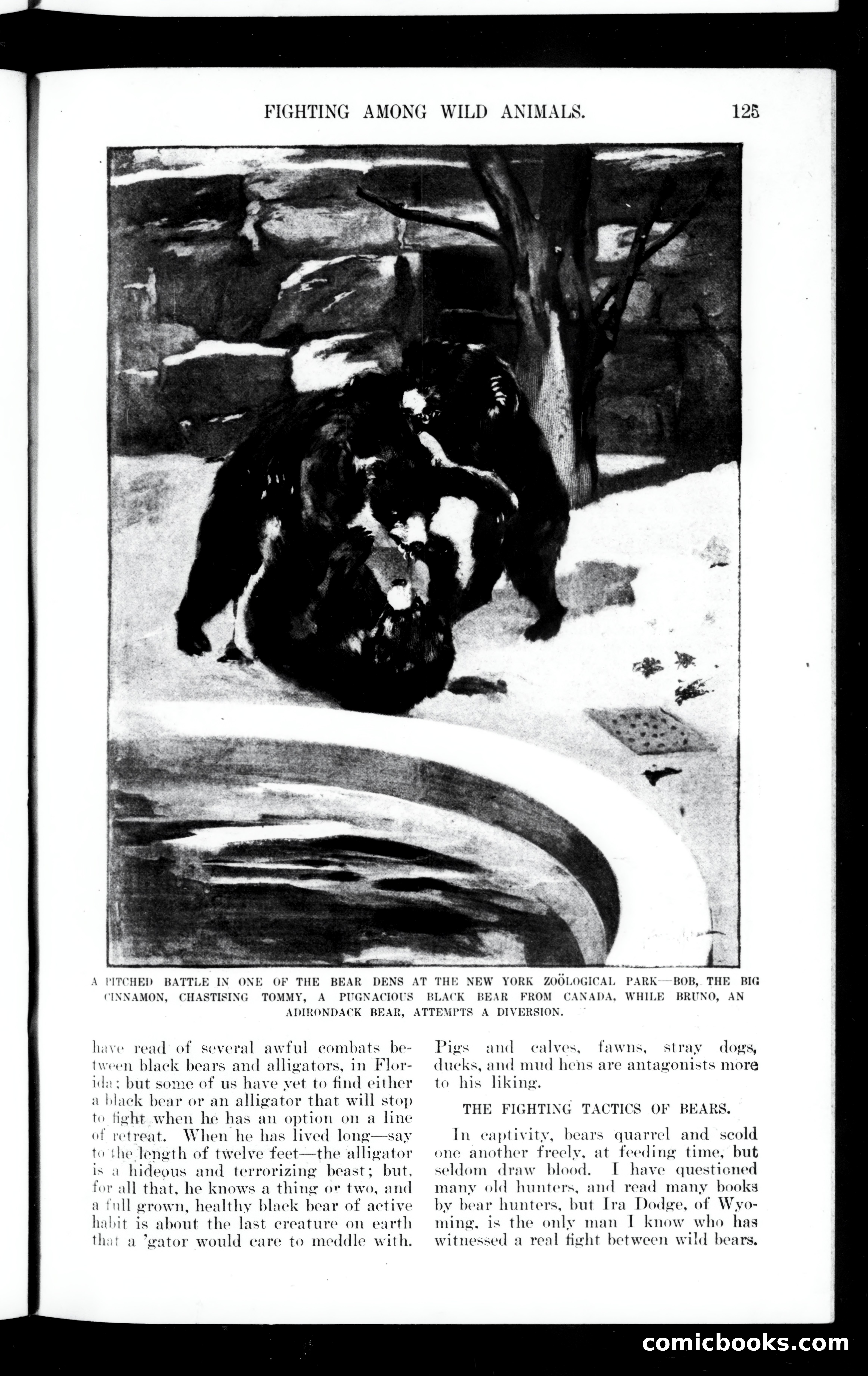 Munsey's Magazine, April 1901 — page 127 of 146