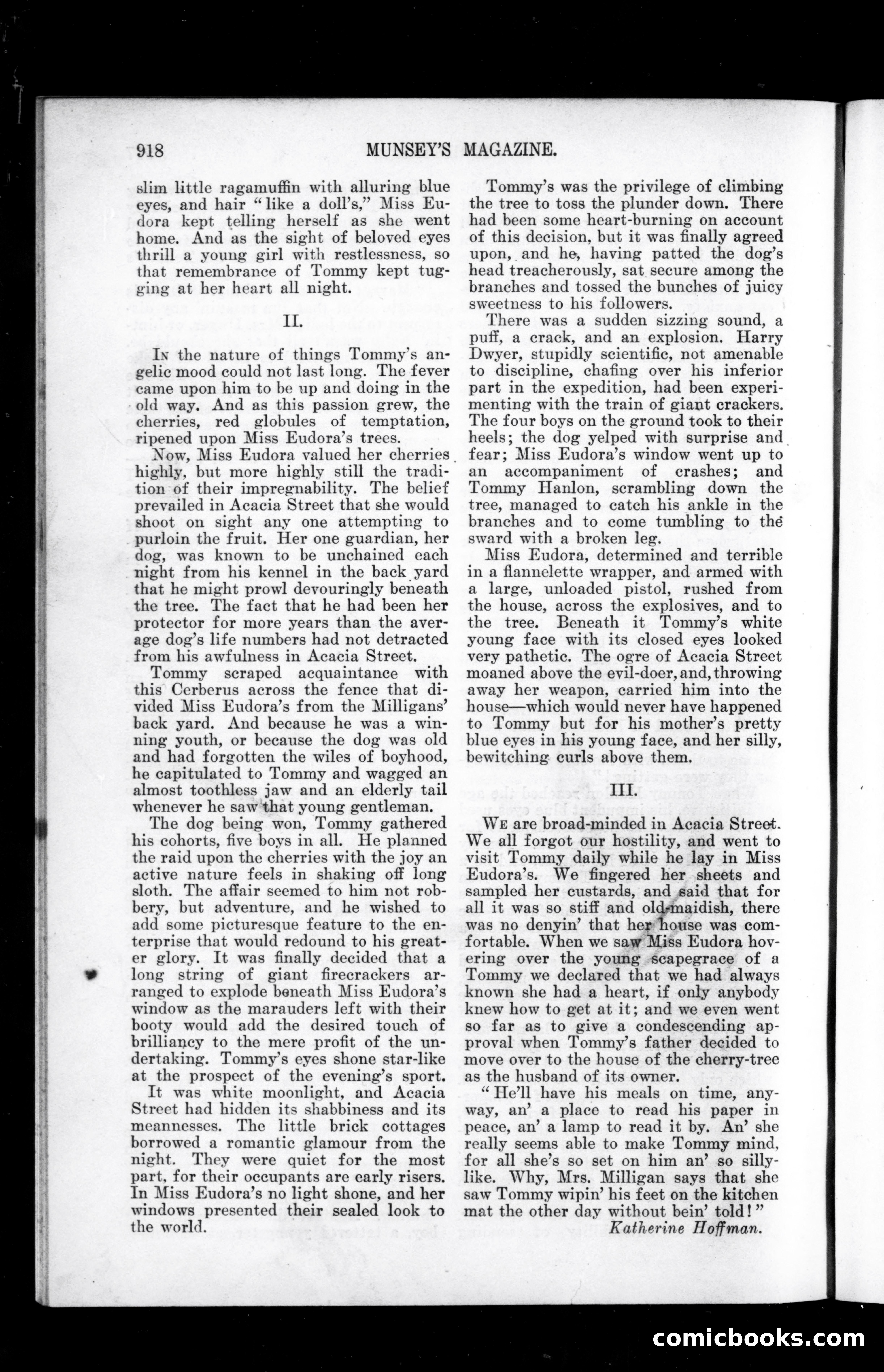 The Munsey, March 1904 — page 120 of 163