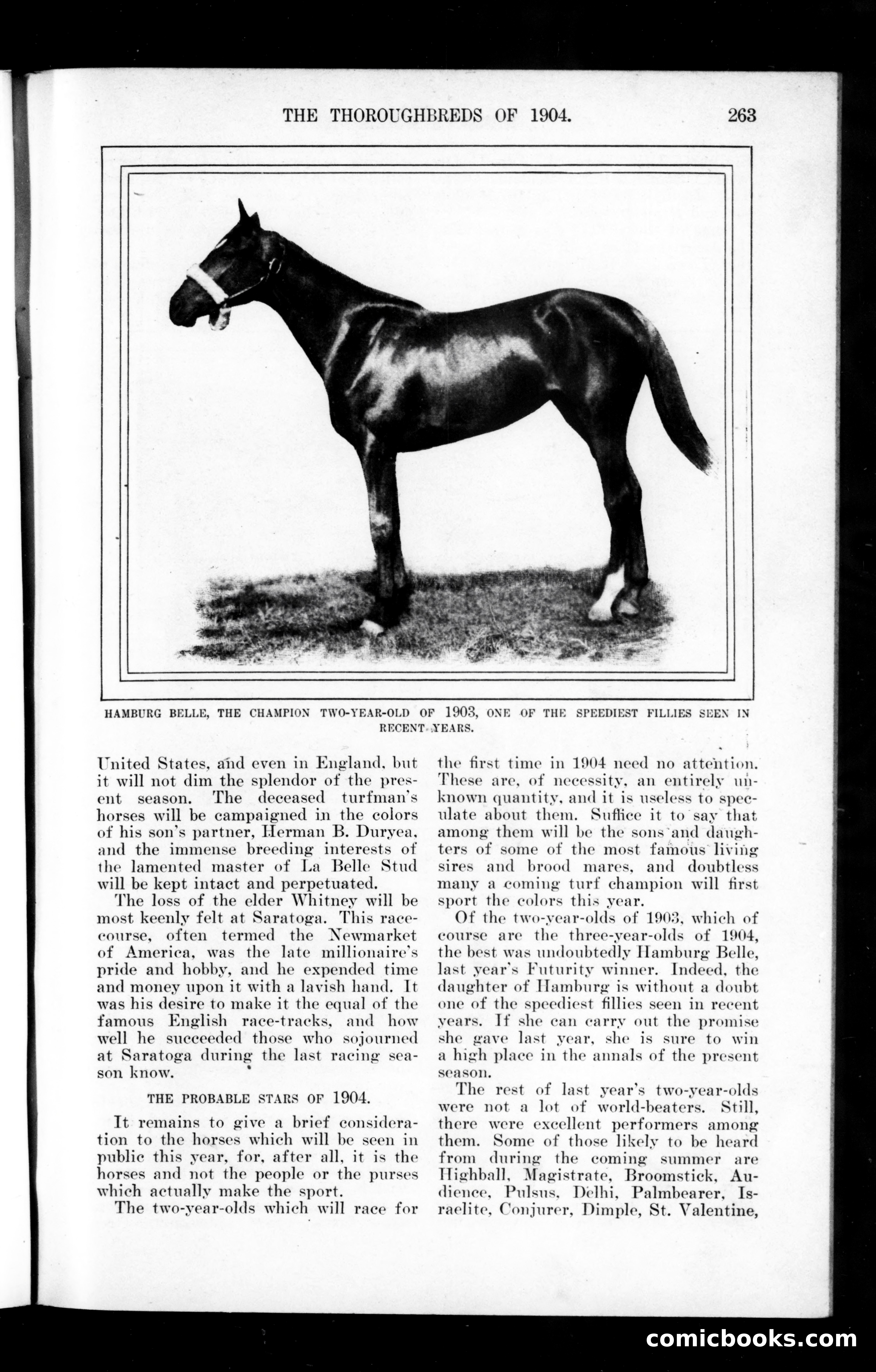 The Munsey, May 1904 — page 105 of 162
