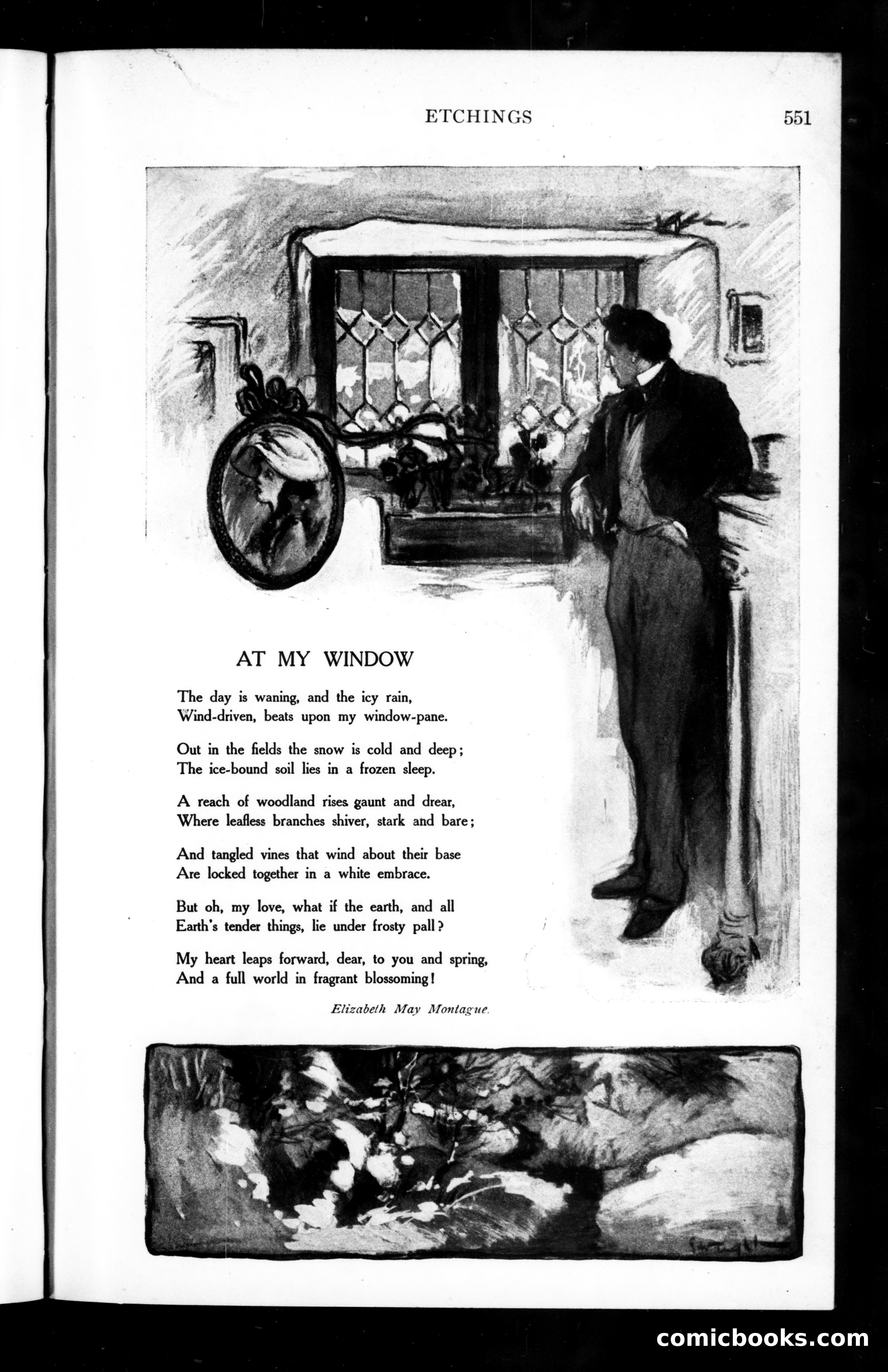 The Munsey, February 1906 — page 39 of 142