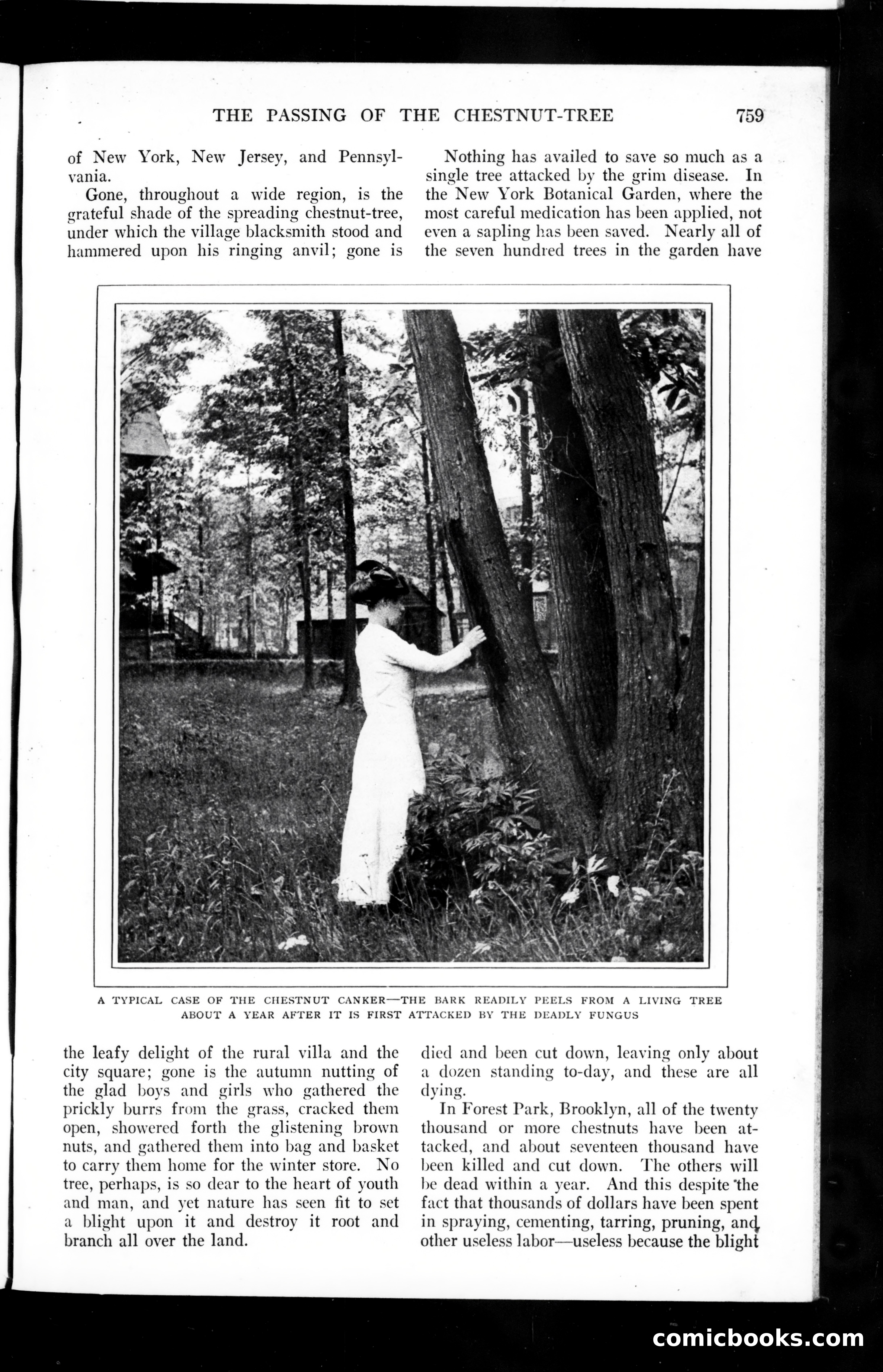 The Munsey Magazine, September 1910 — page 33 of 151