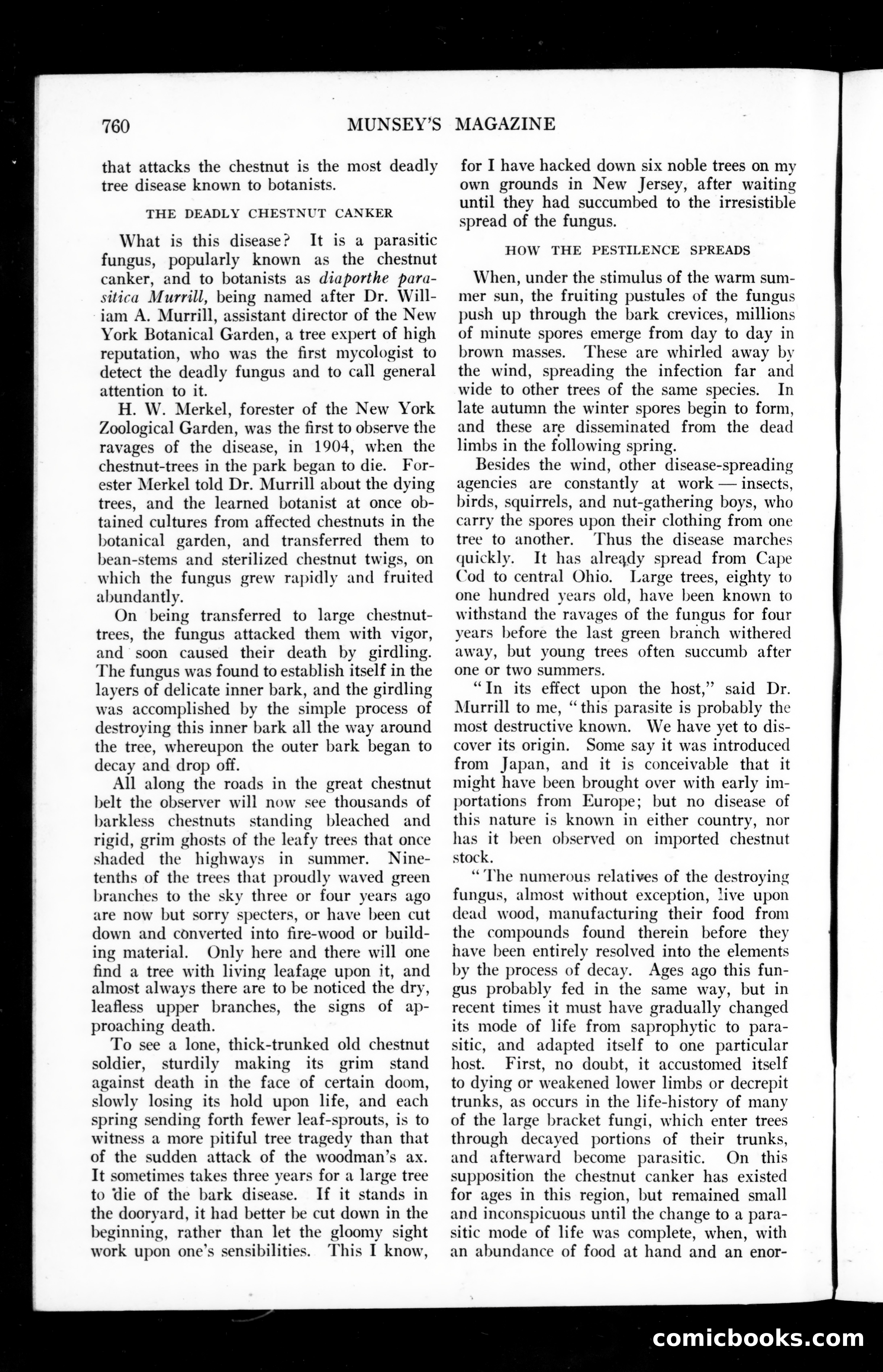 The Munsey Magazine, September 1910 — page 34 of 151
