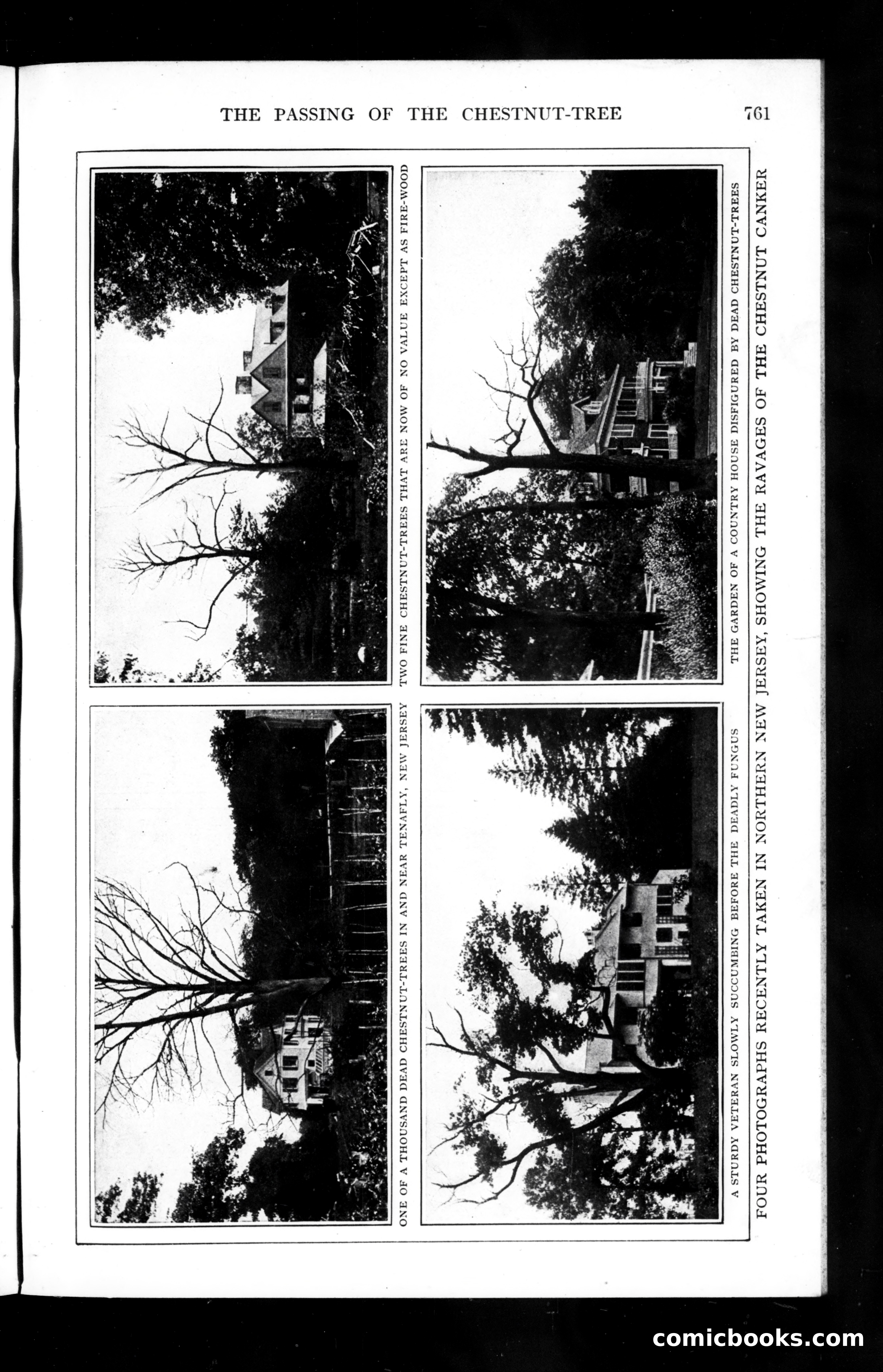 The Munsey Magazine, September 1910 — page 35 of 151