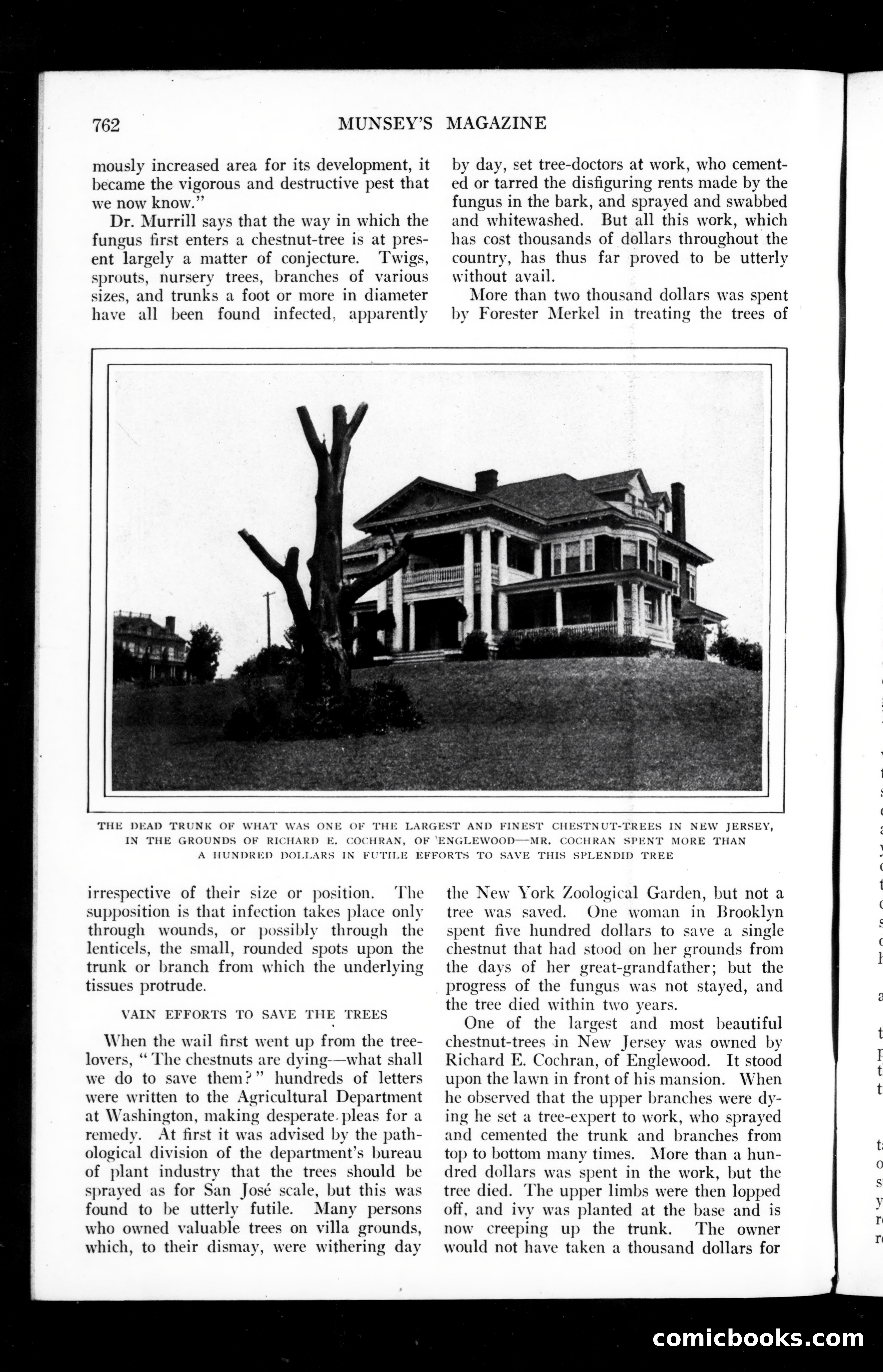 The Munsey Magazine, September 1910 — page 36 of 151