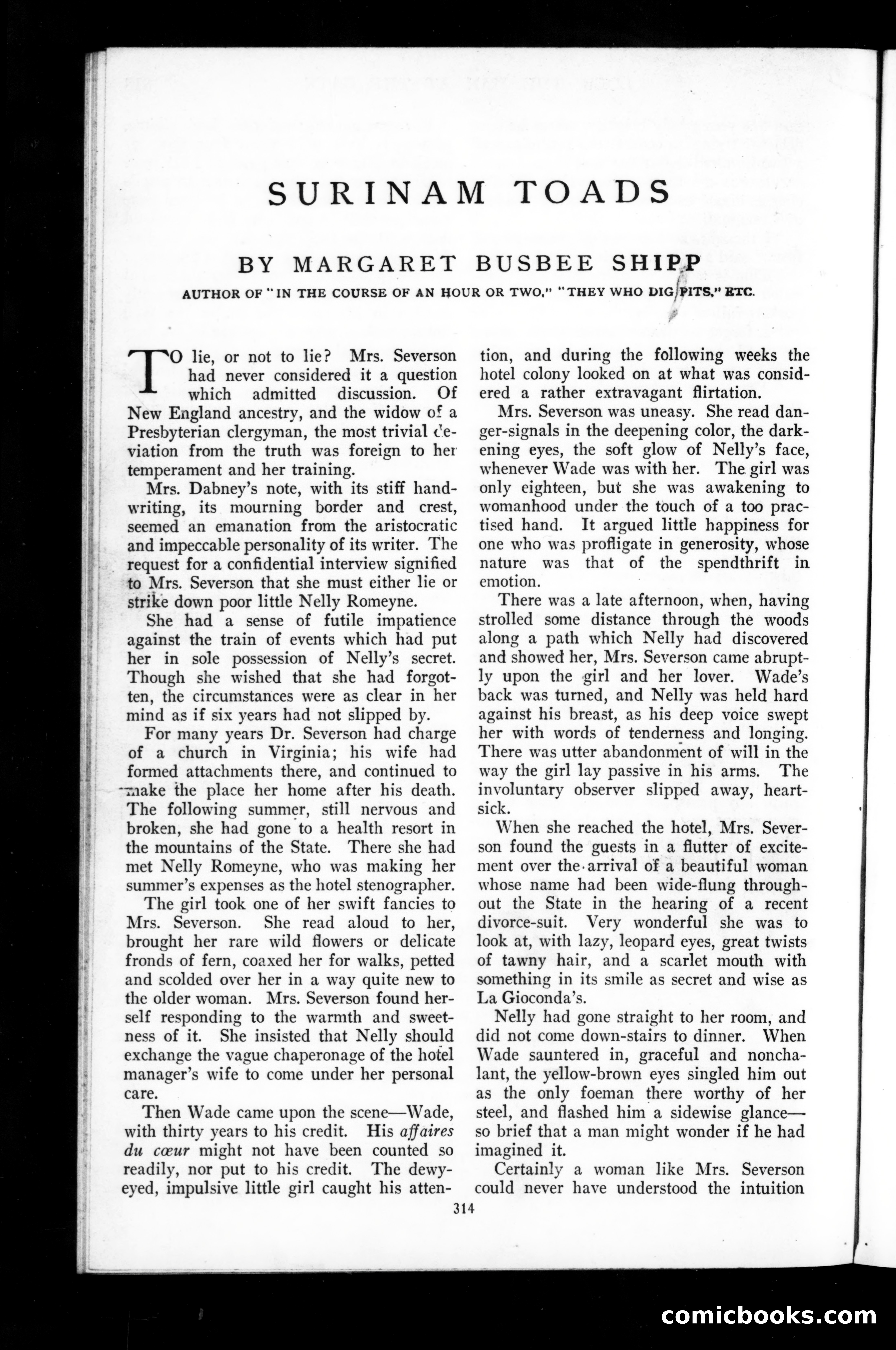 The Munsey Magazine Christmas Cover — page 22 of 152
