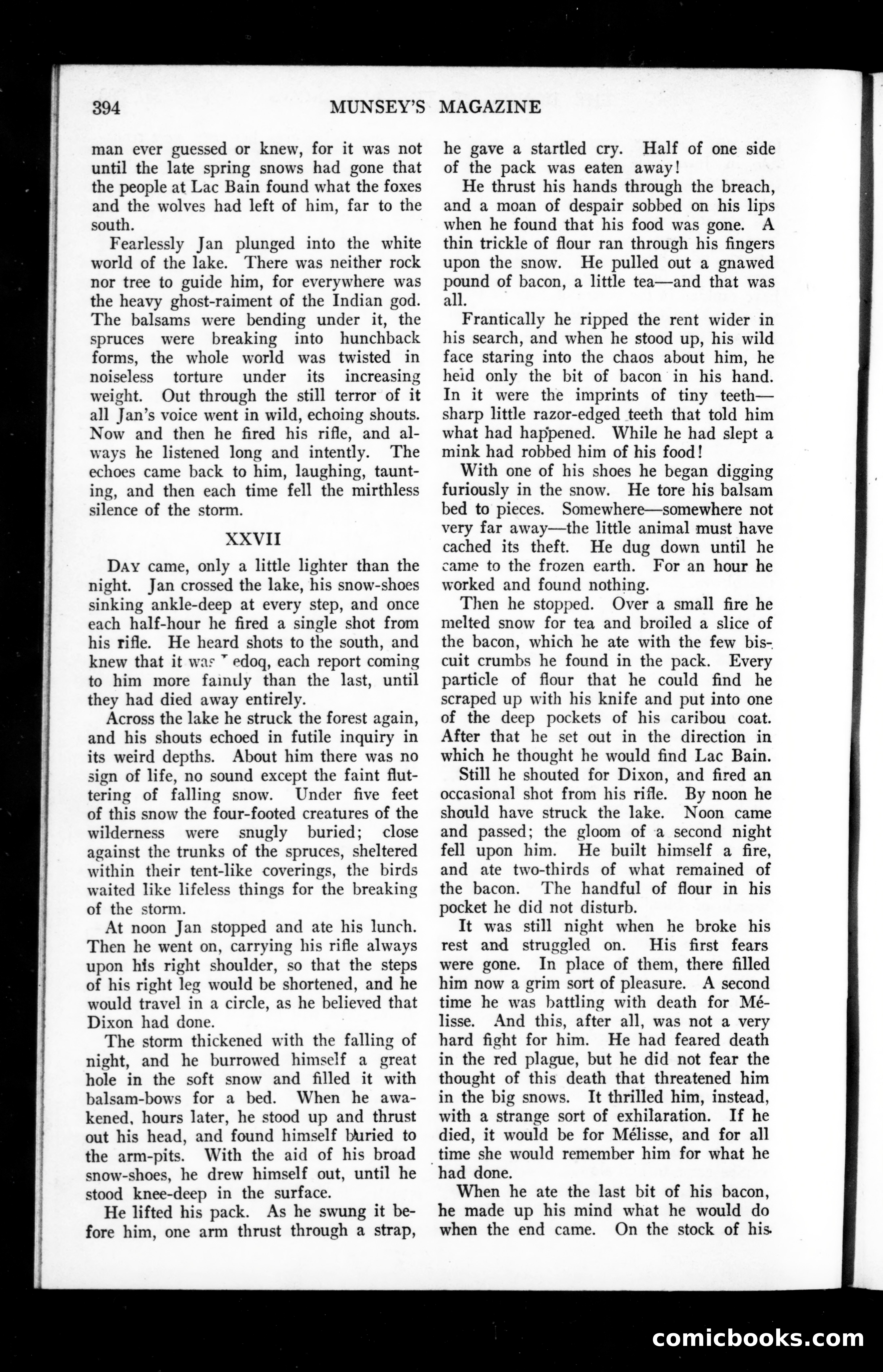 The Munsey Magazine Christmas Cover — page 102 of 152