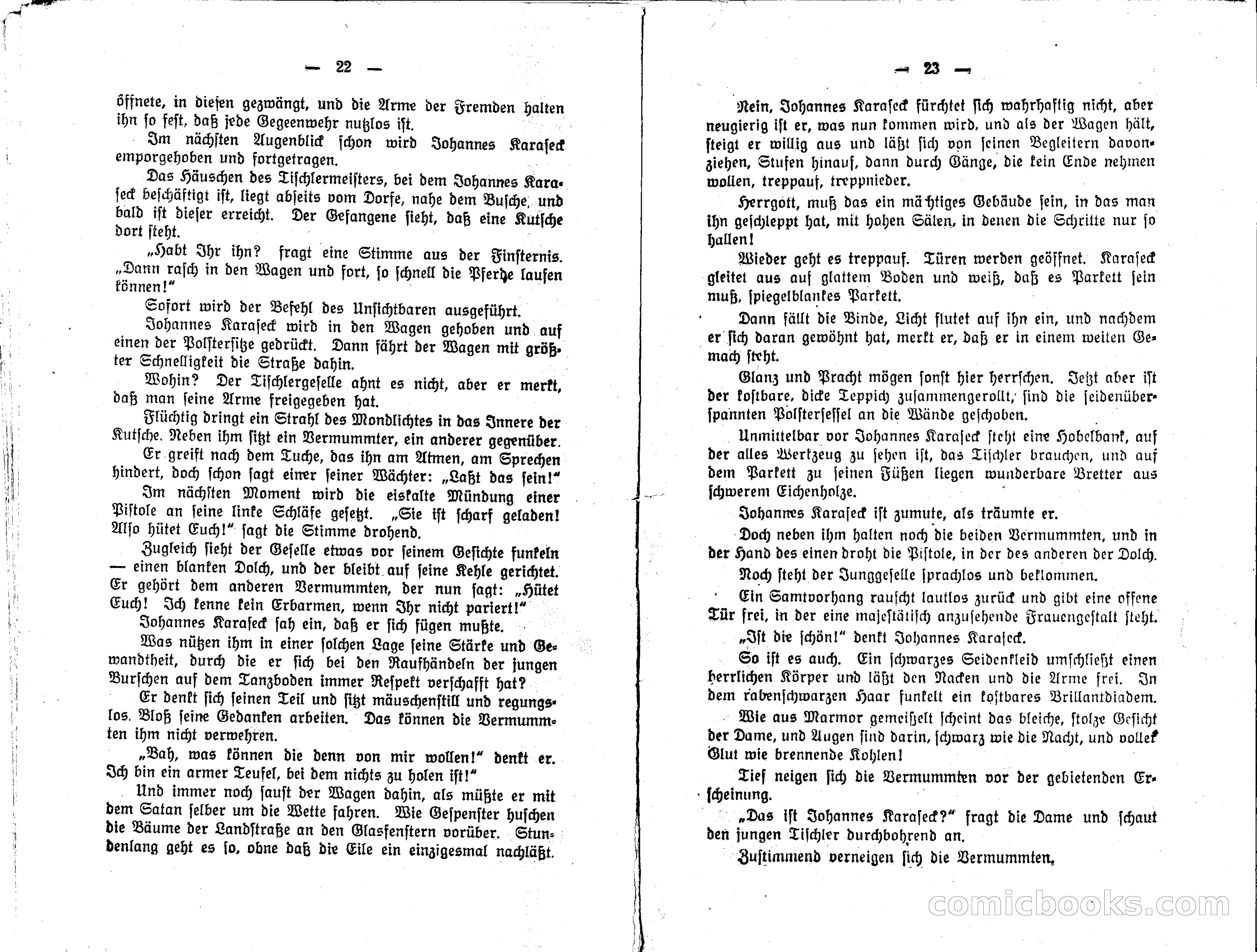 Stülpner's Hart — page 13 of 14