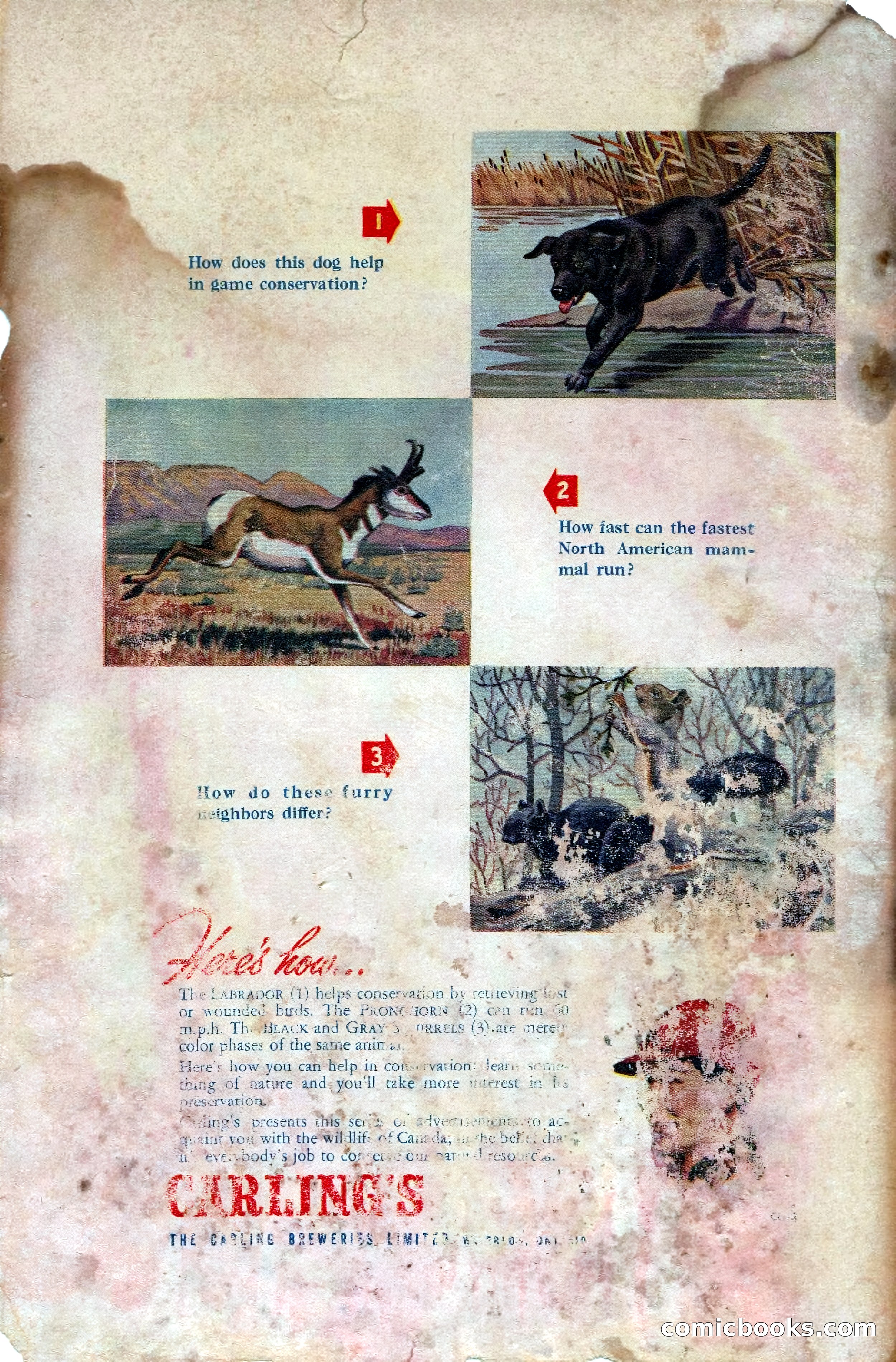 Super Science Stories, April 1951 — page 116 of 116