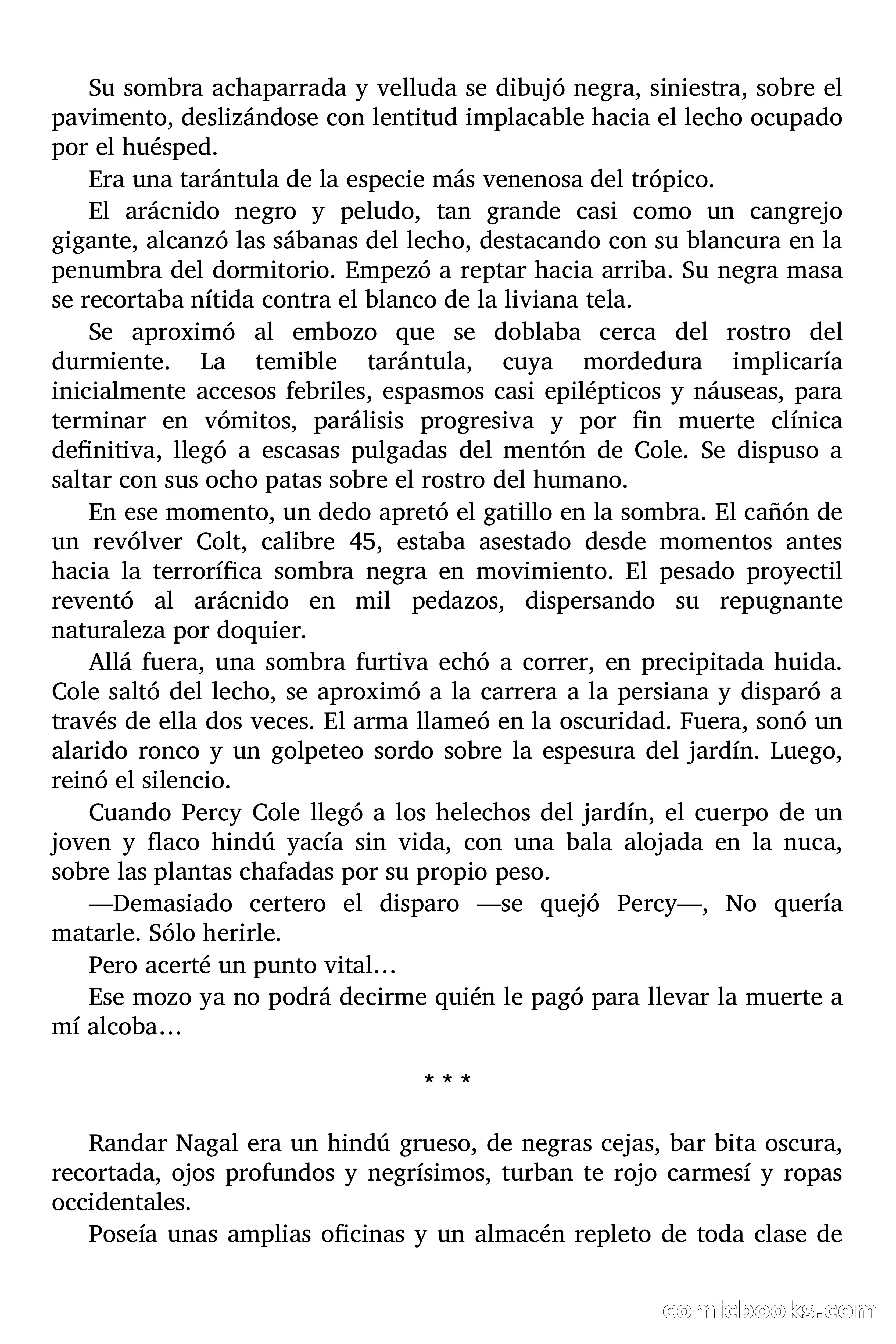 El templo de los siete ídolos — page 20 of 75