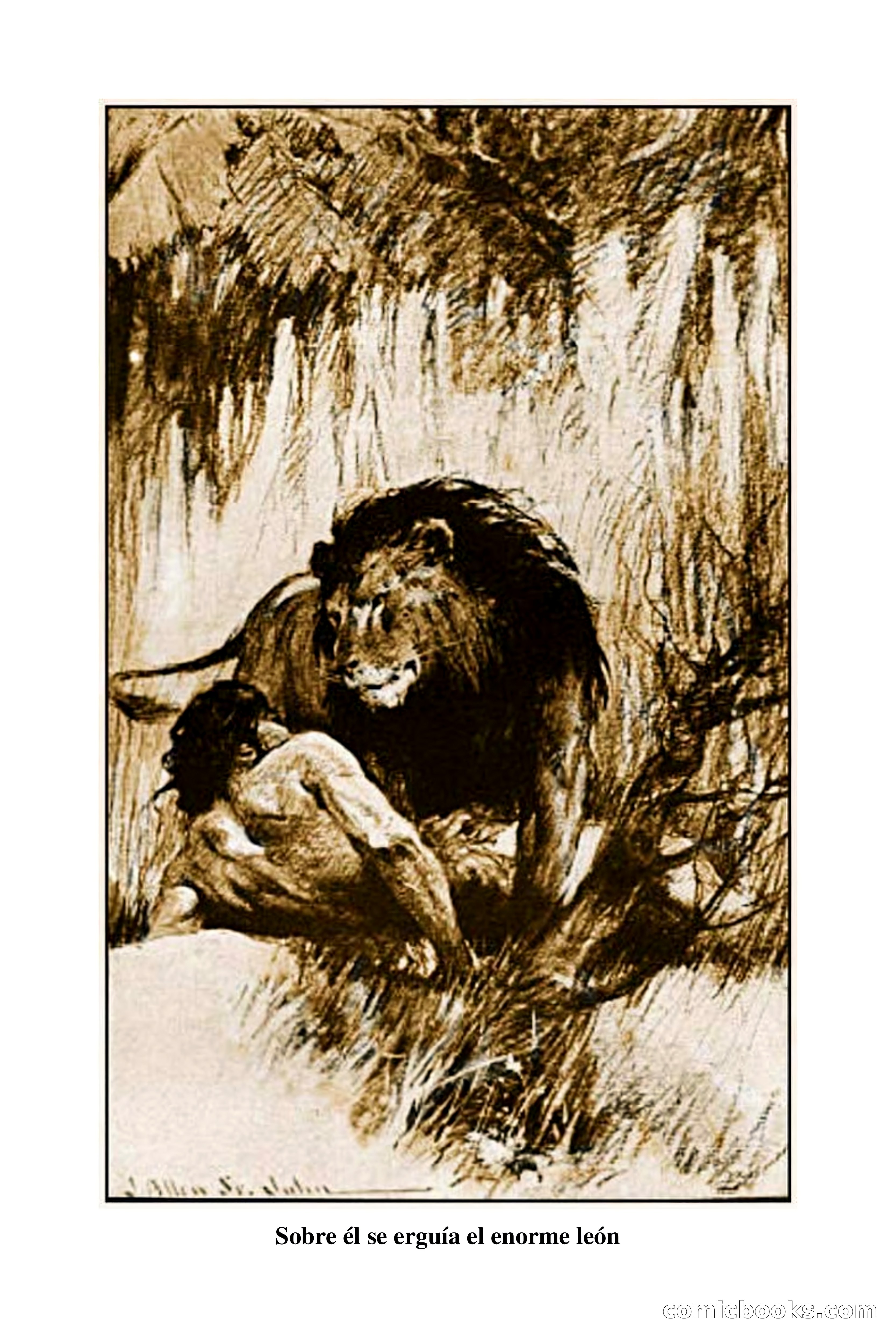 Tarzán el indómito — page 79 of 292
