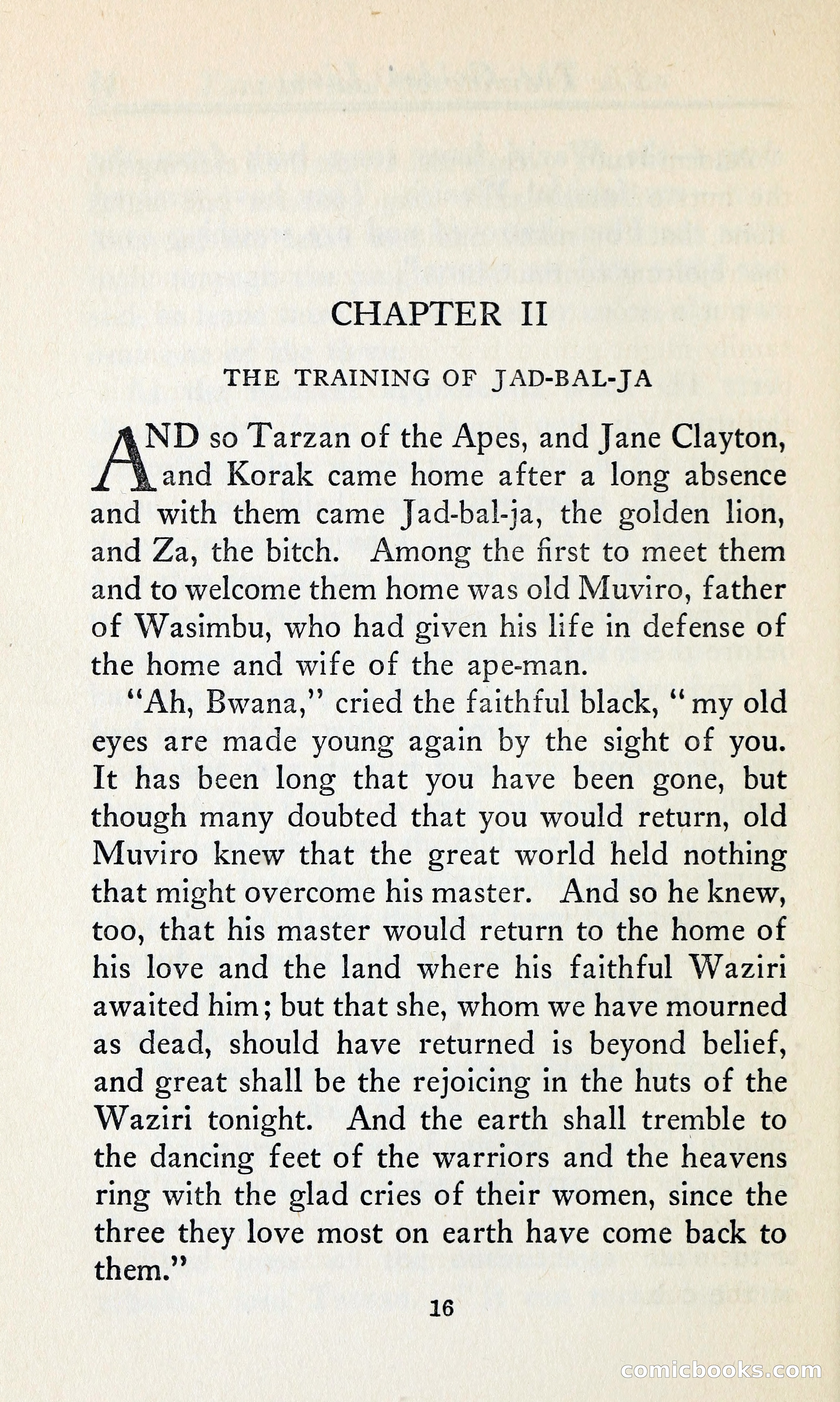 Tarzan and the Golden Lion — page 33 of 369