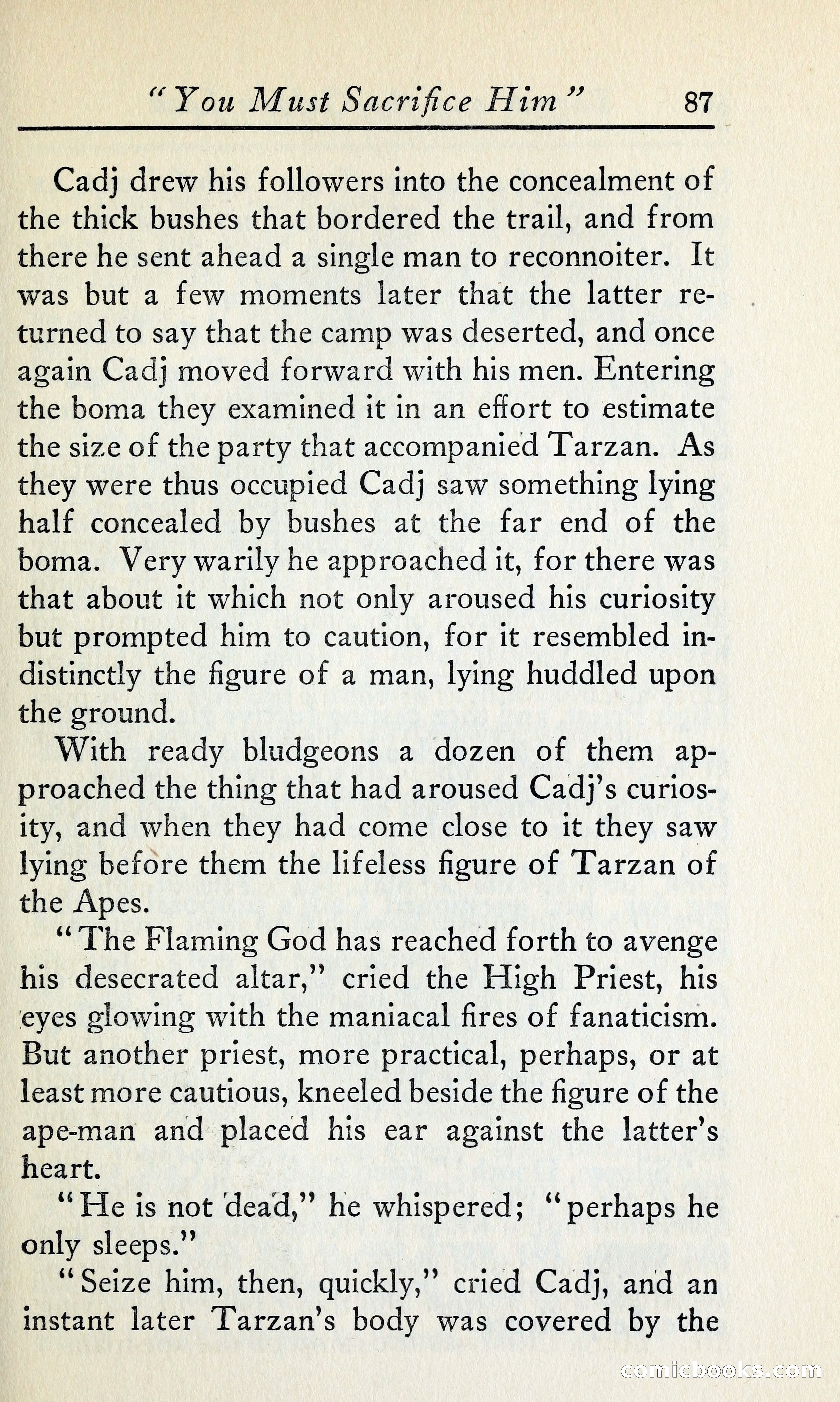 Tarzan and the Golden Lion — page 106 of 369