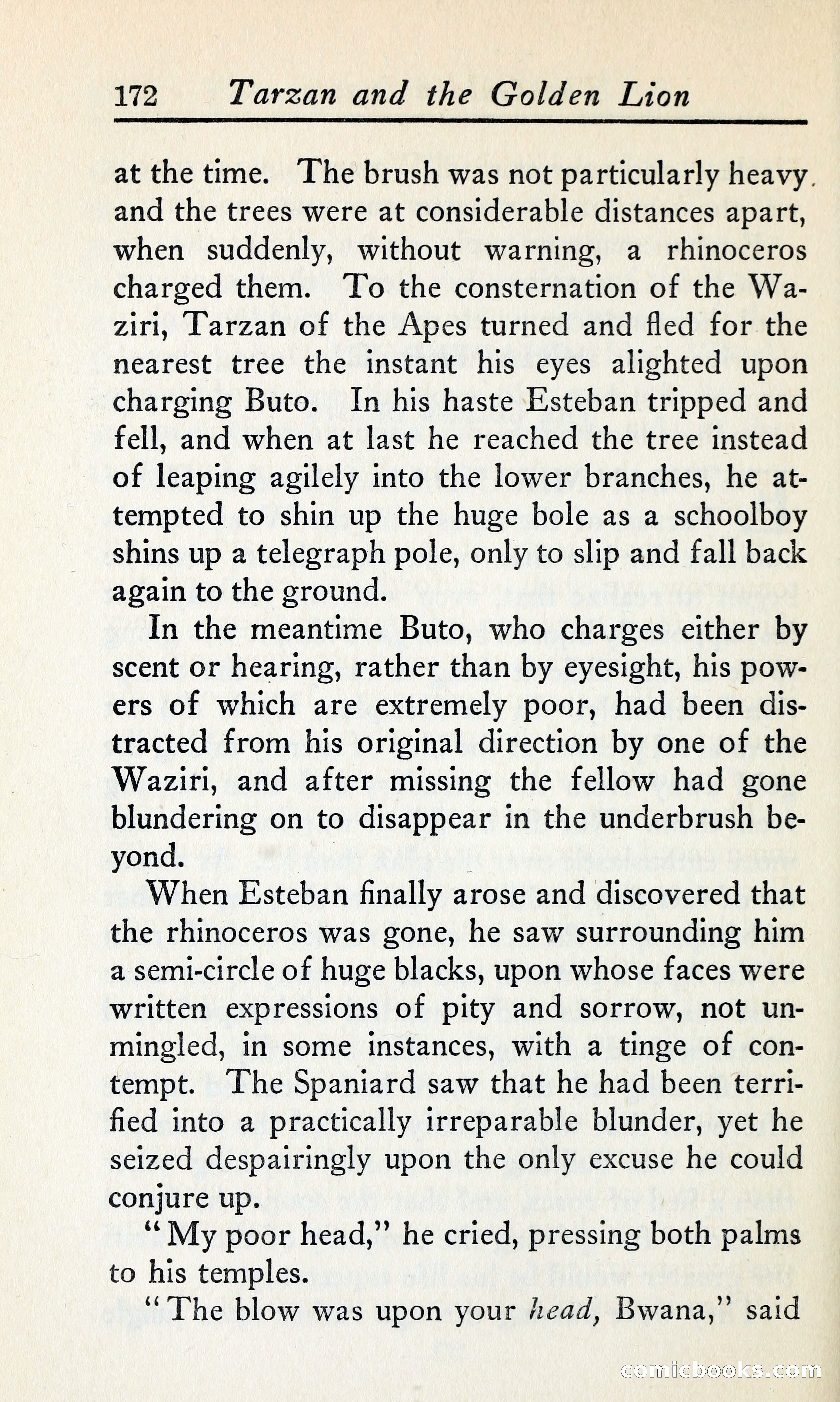 Tarzan and the Golden Lion — page 193 of 369
