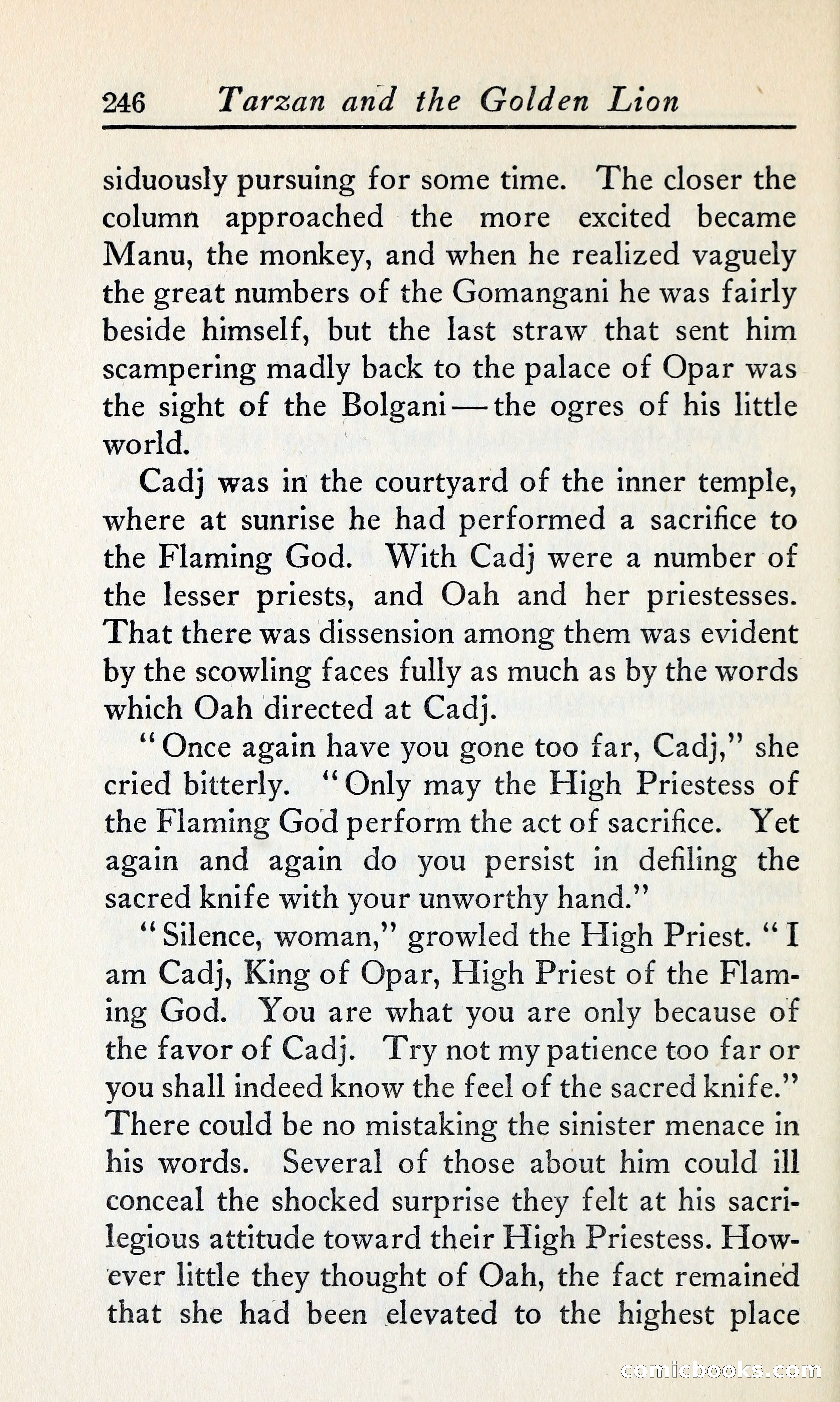 Tarzan and the Golden Lion — page 269 of 369
