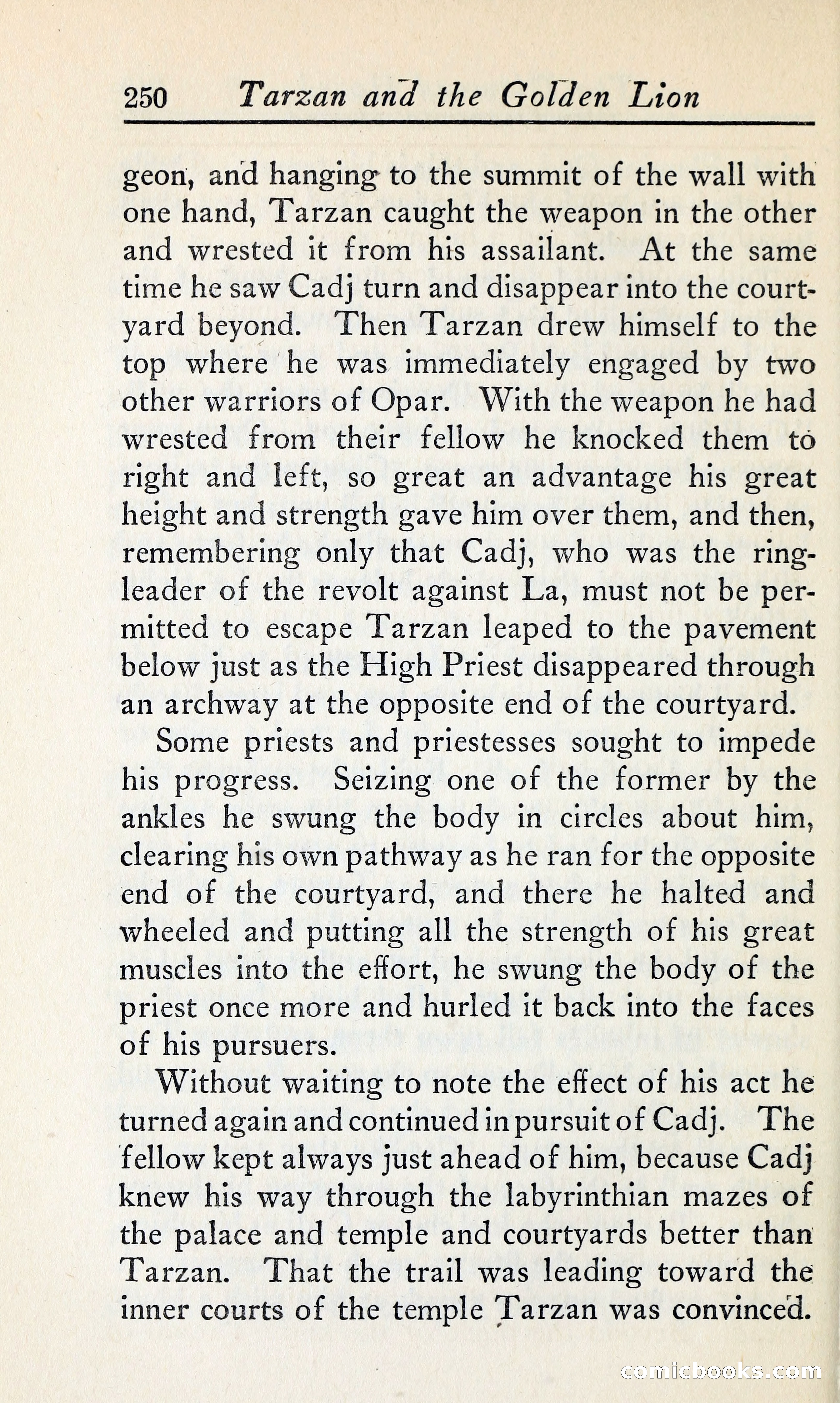 Tarzan and the Golden Lion — page 273 of 369