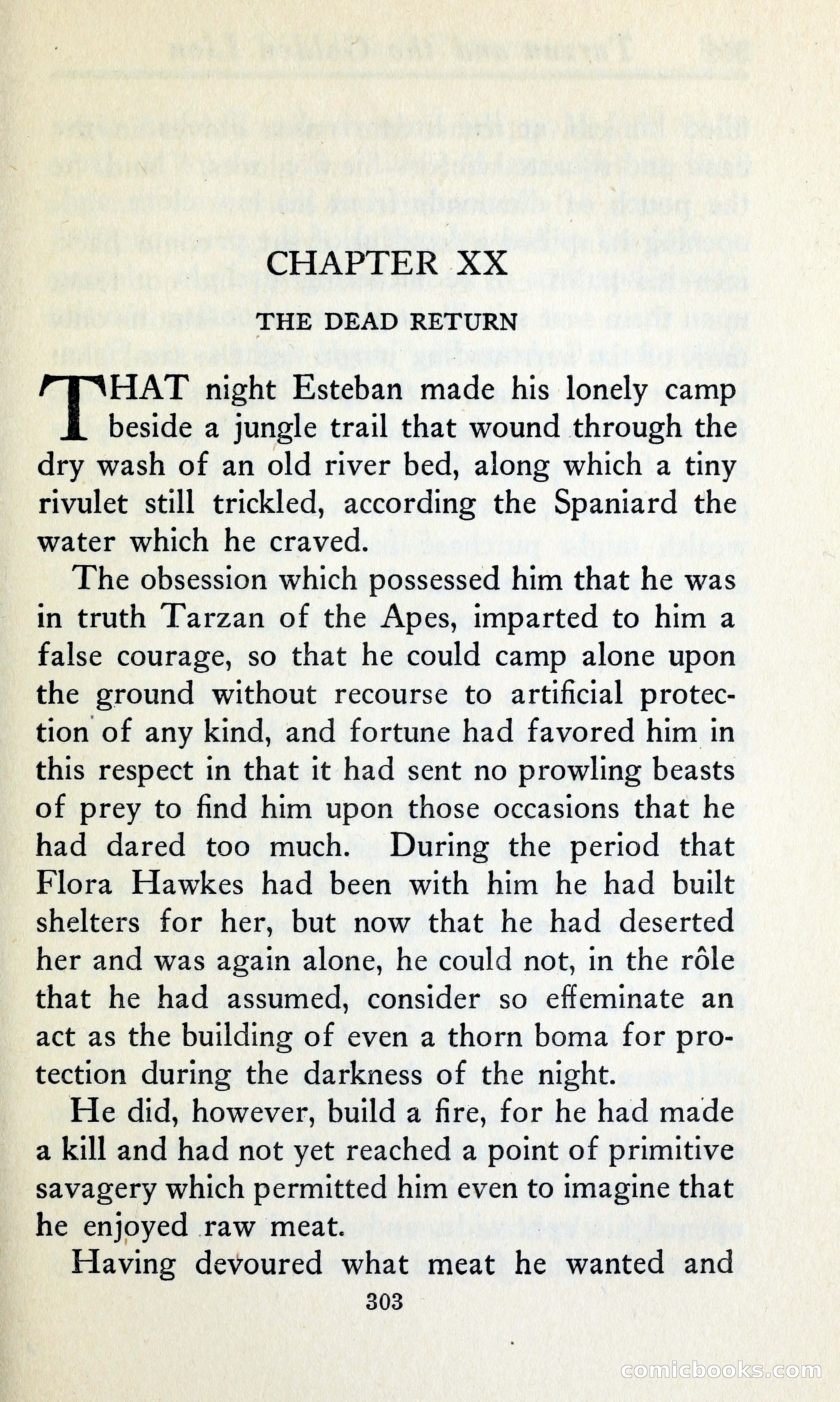 Tarzan and the Golden Lion — page 330 of 369