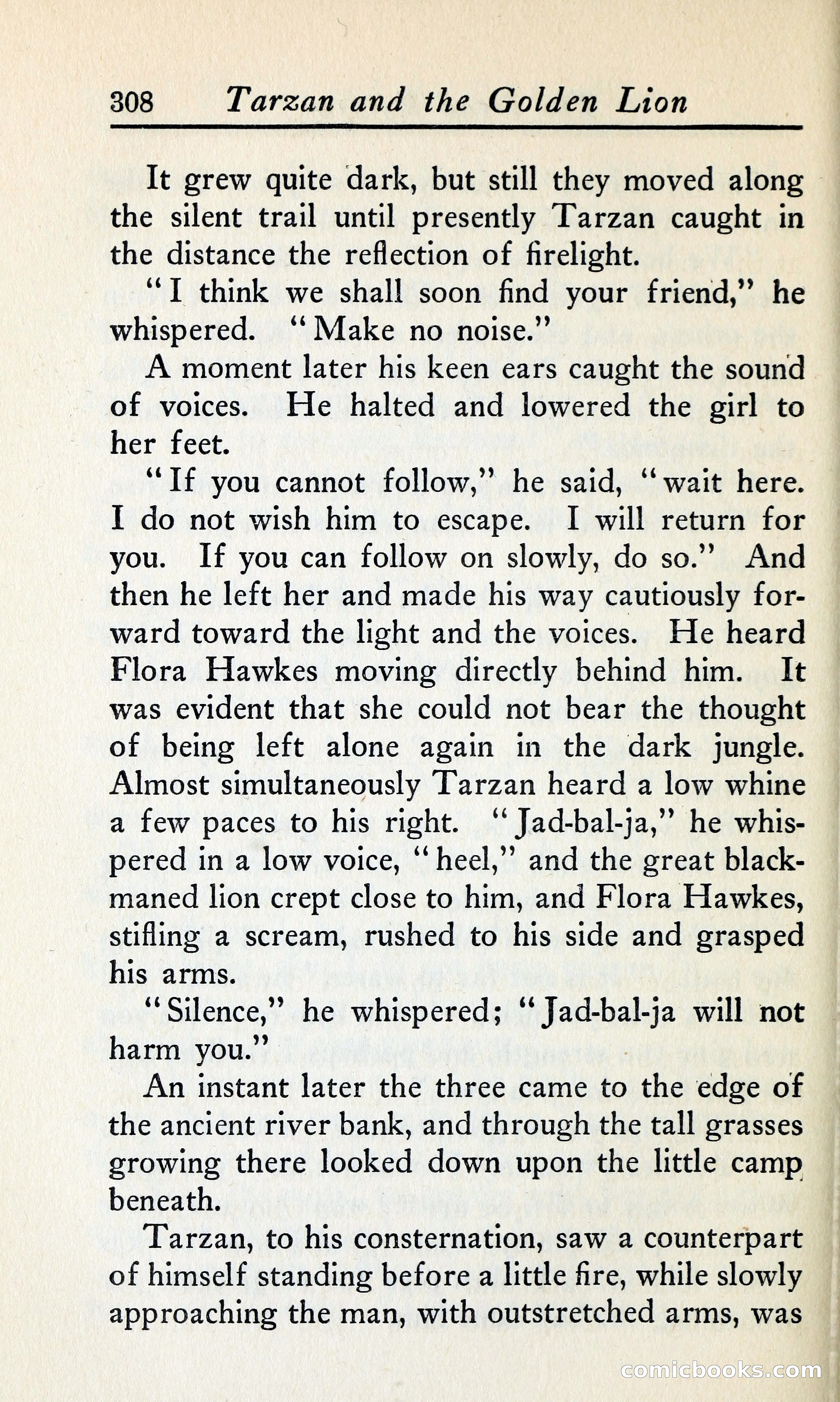 Tarzan and the Golden Lion — page 335 of 369