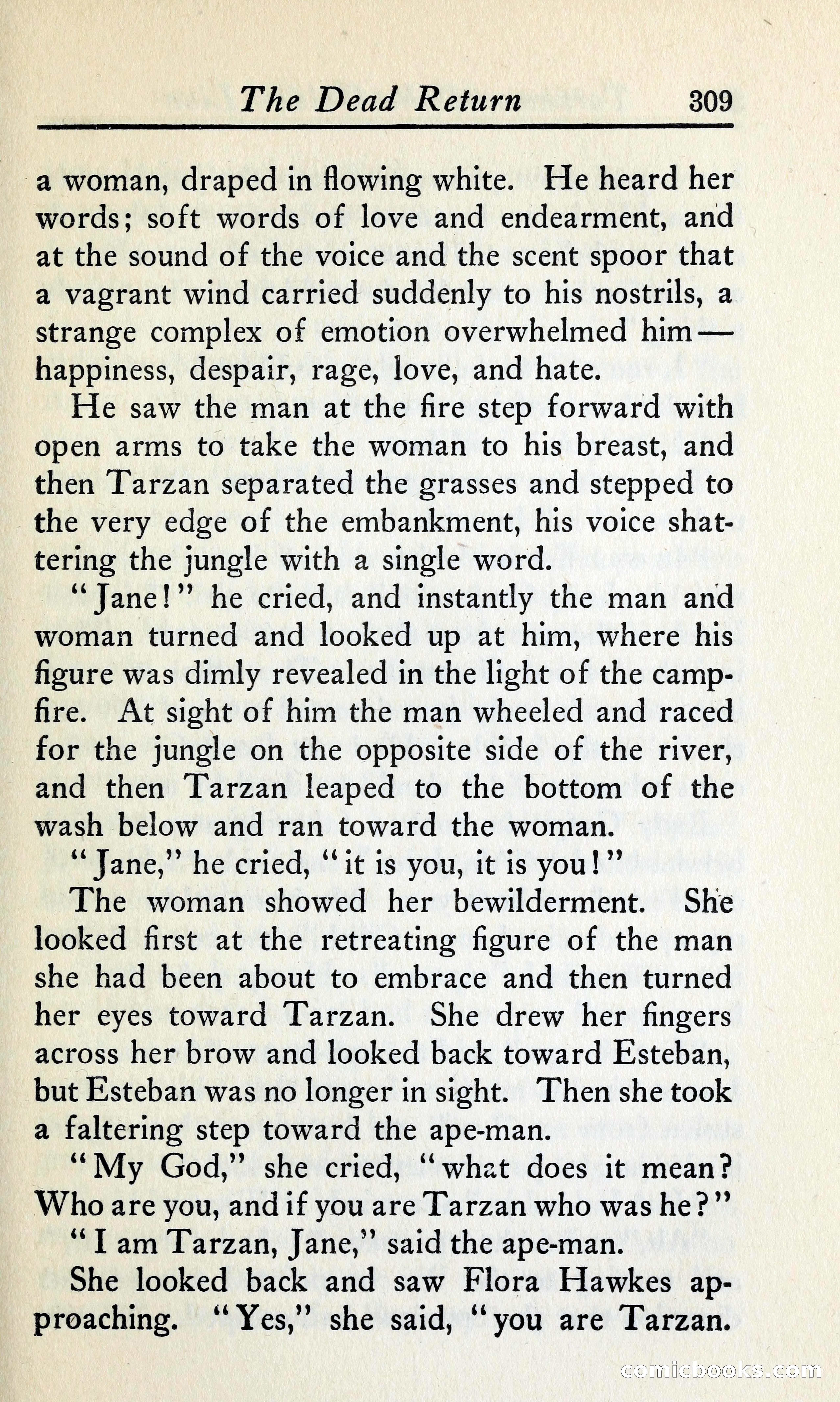Tarzan and the Golden Lion — page 336 of 369