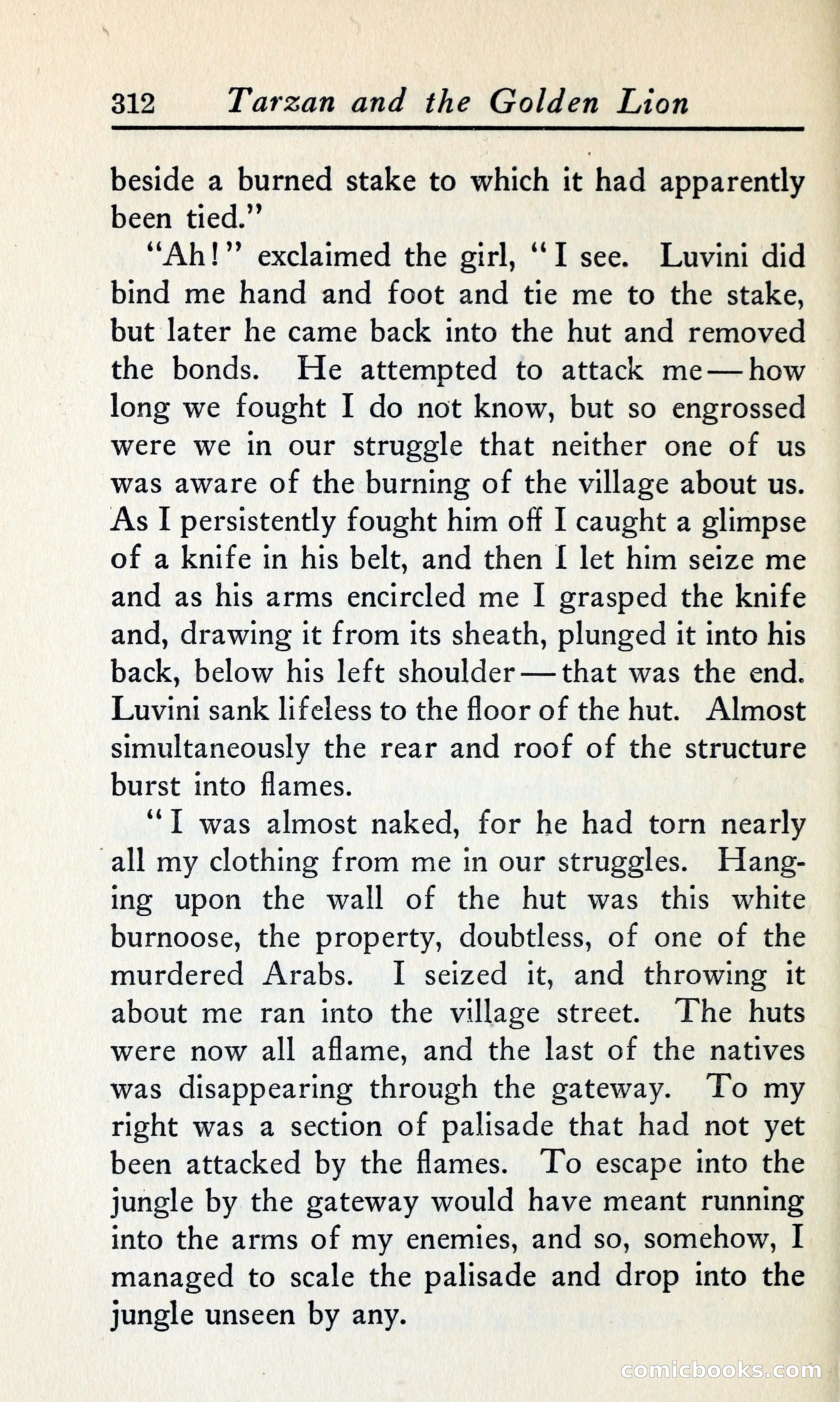 Tarzan and the Golden Lion — page 339 of 369
