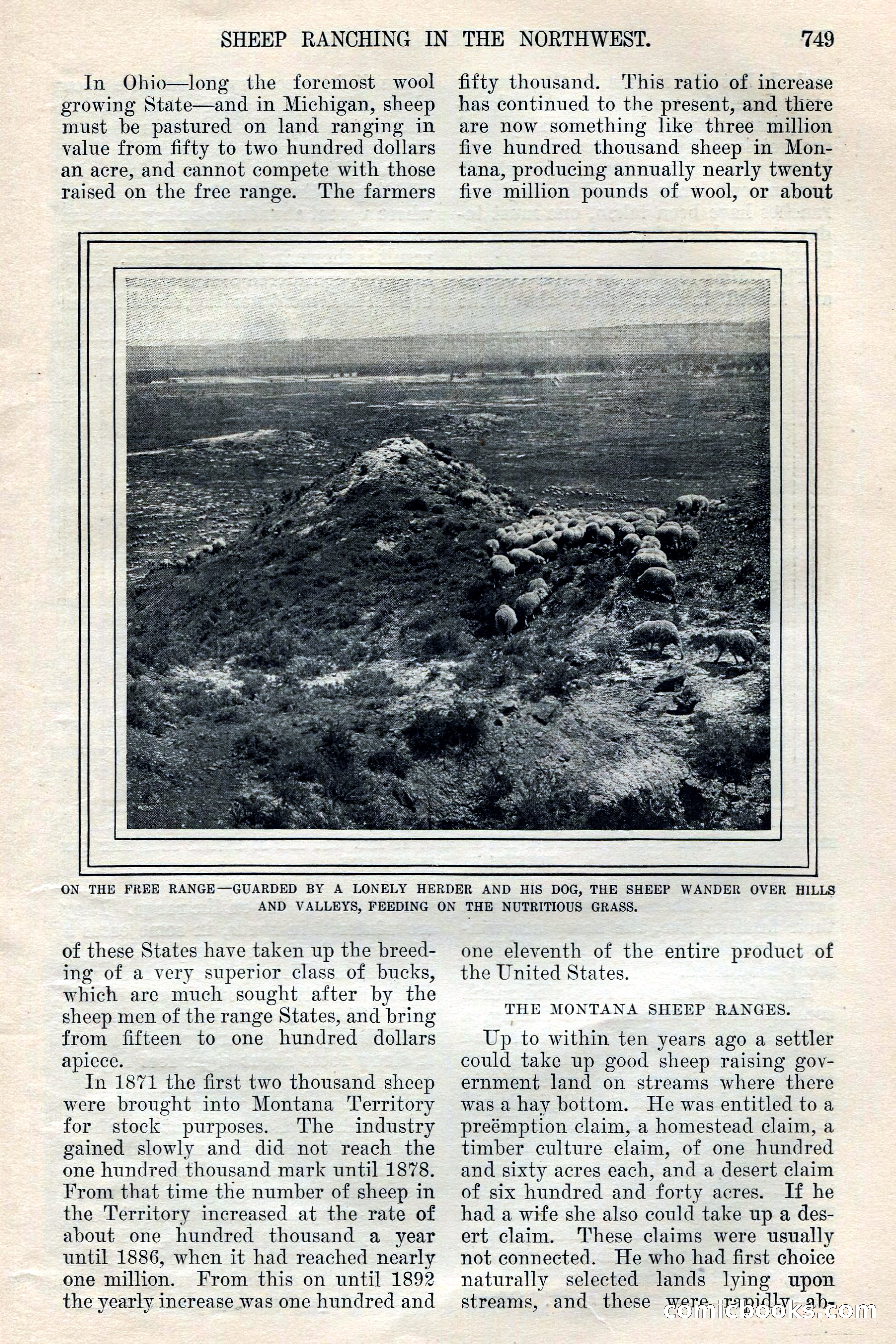 The Junior Munsey, Vol. VIII, No. 6 — page 9 of 164