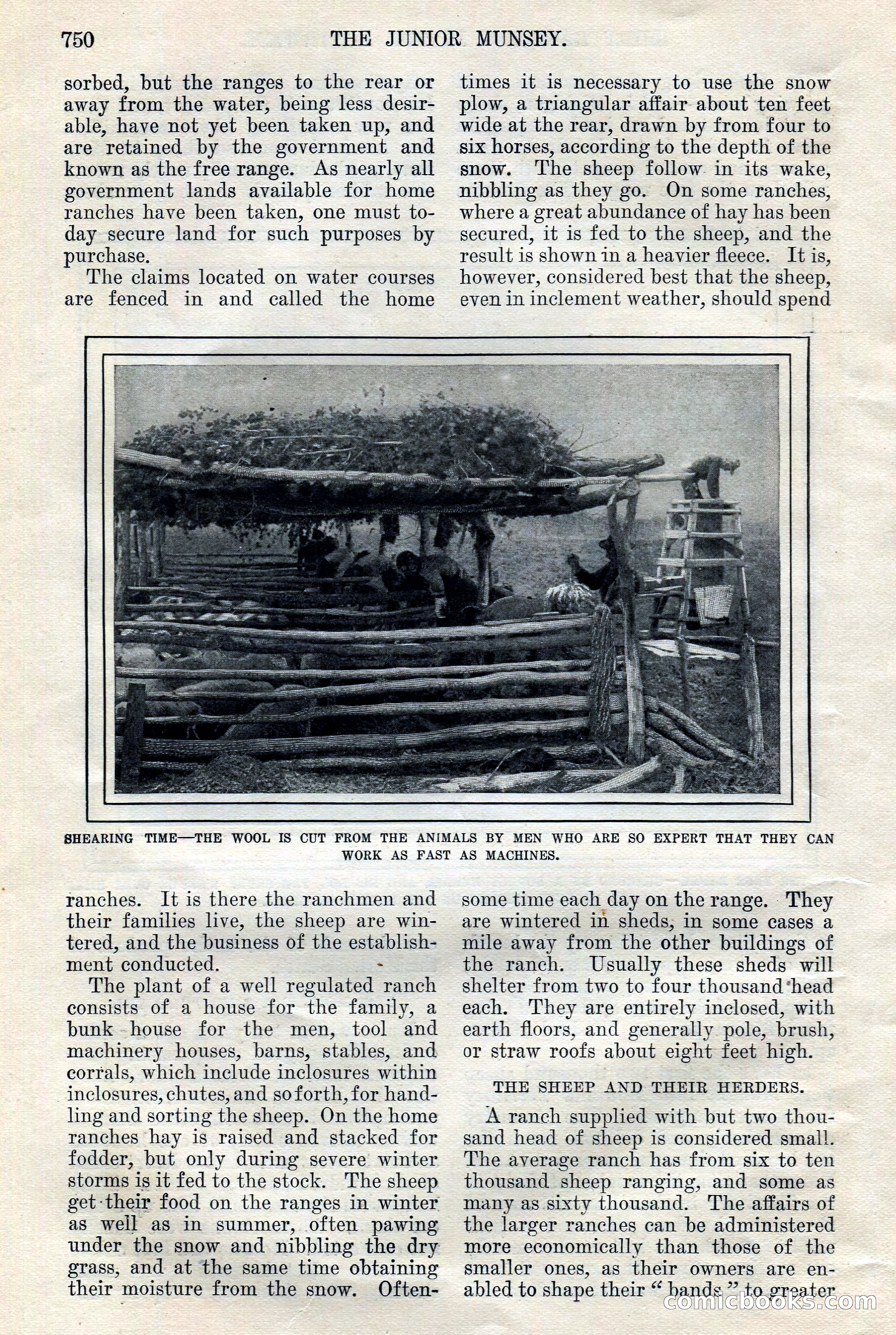 The Junior Munsey, Vol. VIII, No. 6 — page 10 of 164